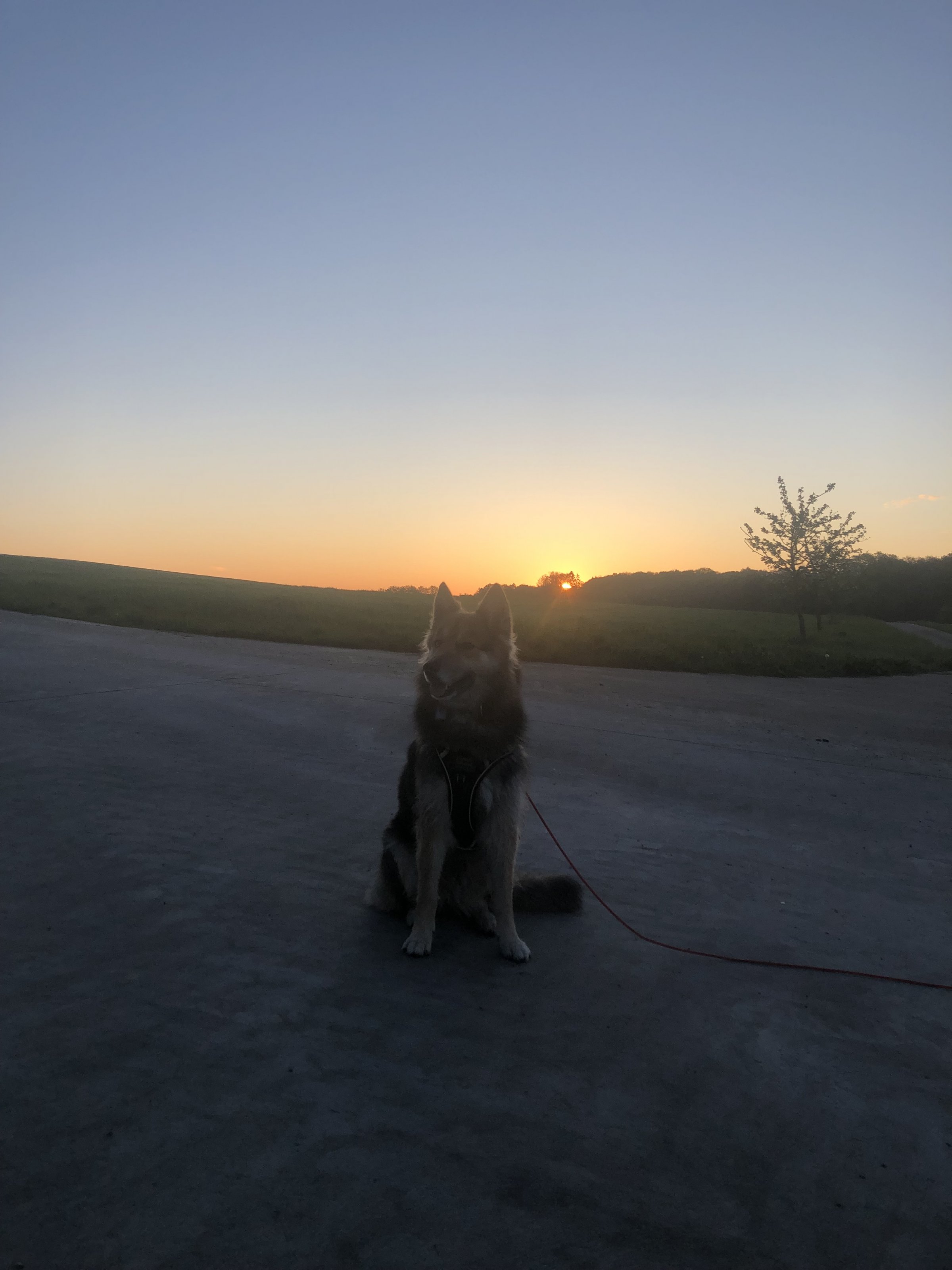 IMG_5616.jpeg