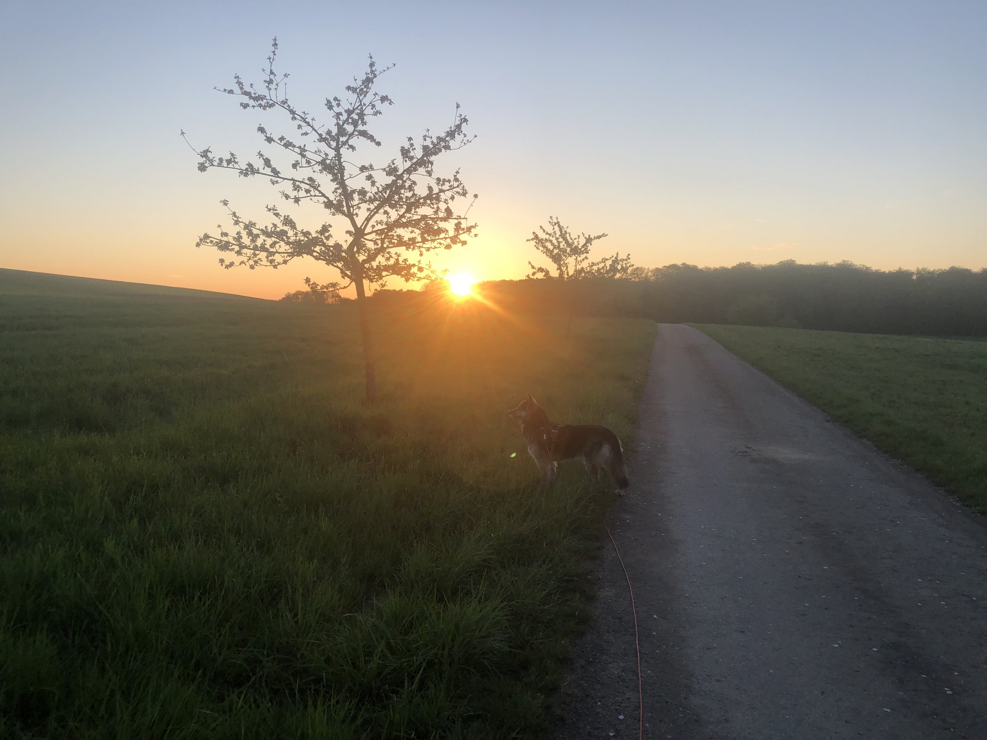 IMG_5621.jpeg