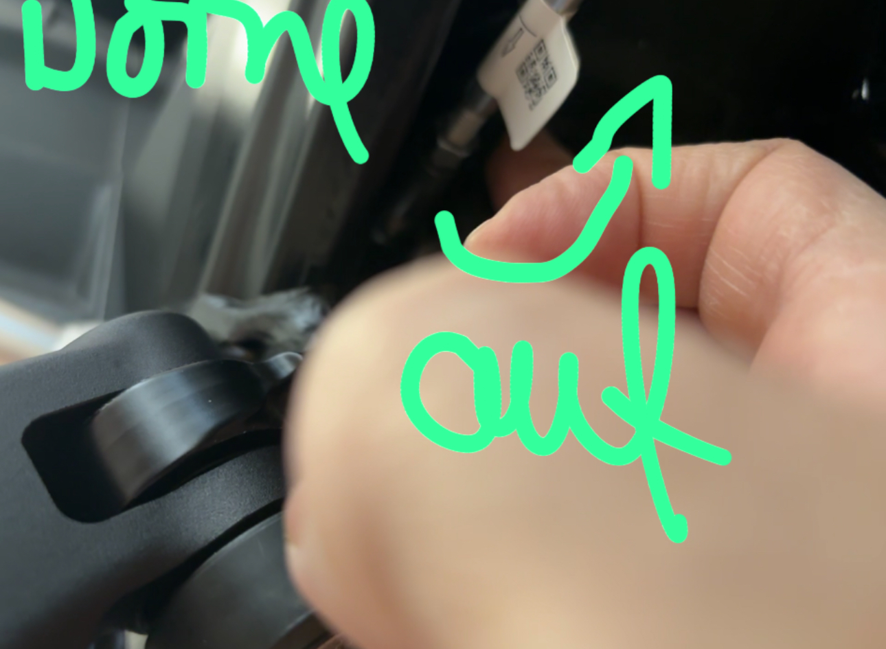 IMG_5808.jpeg