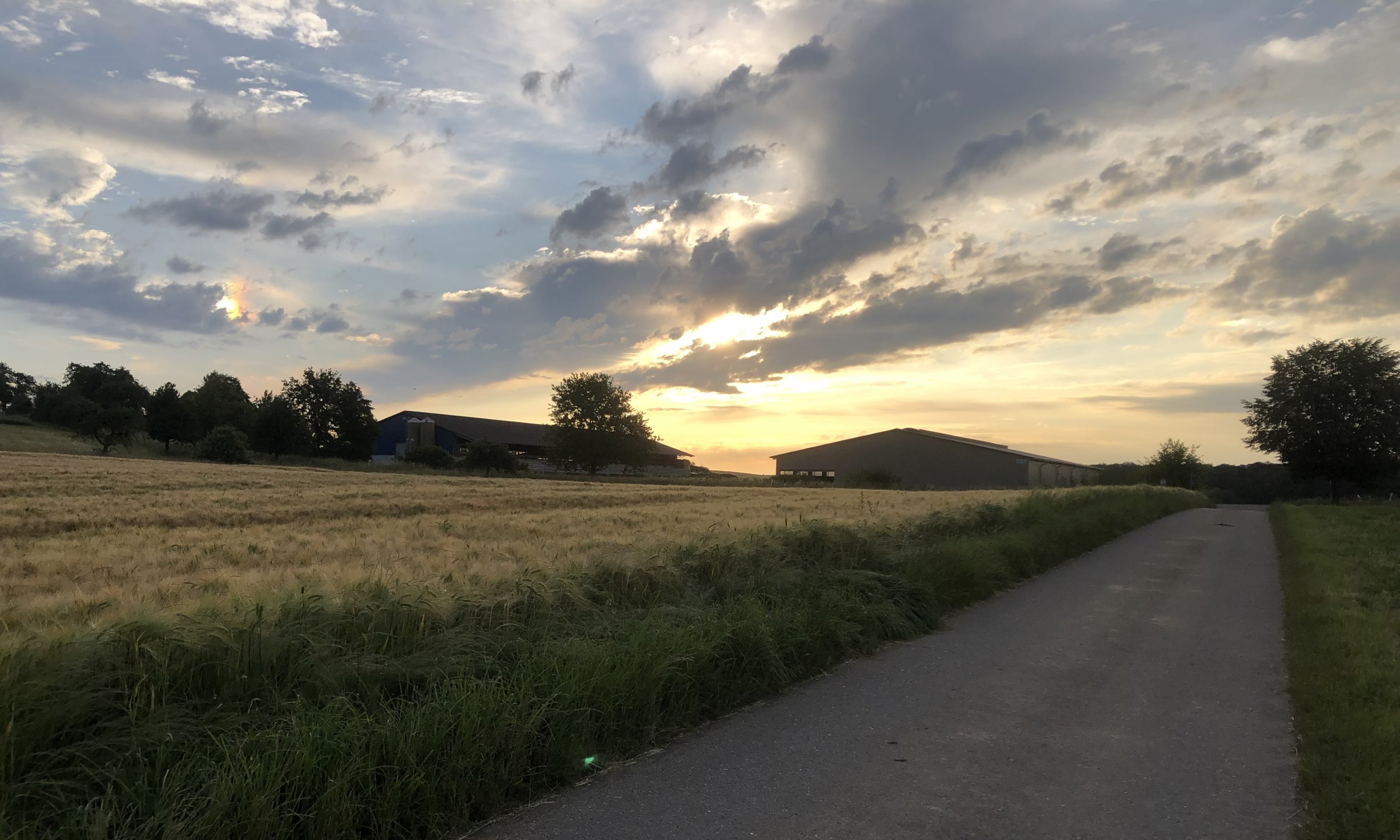 IMG_5963.jpeg