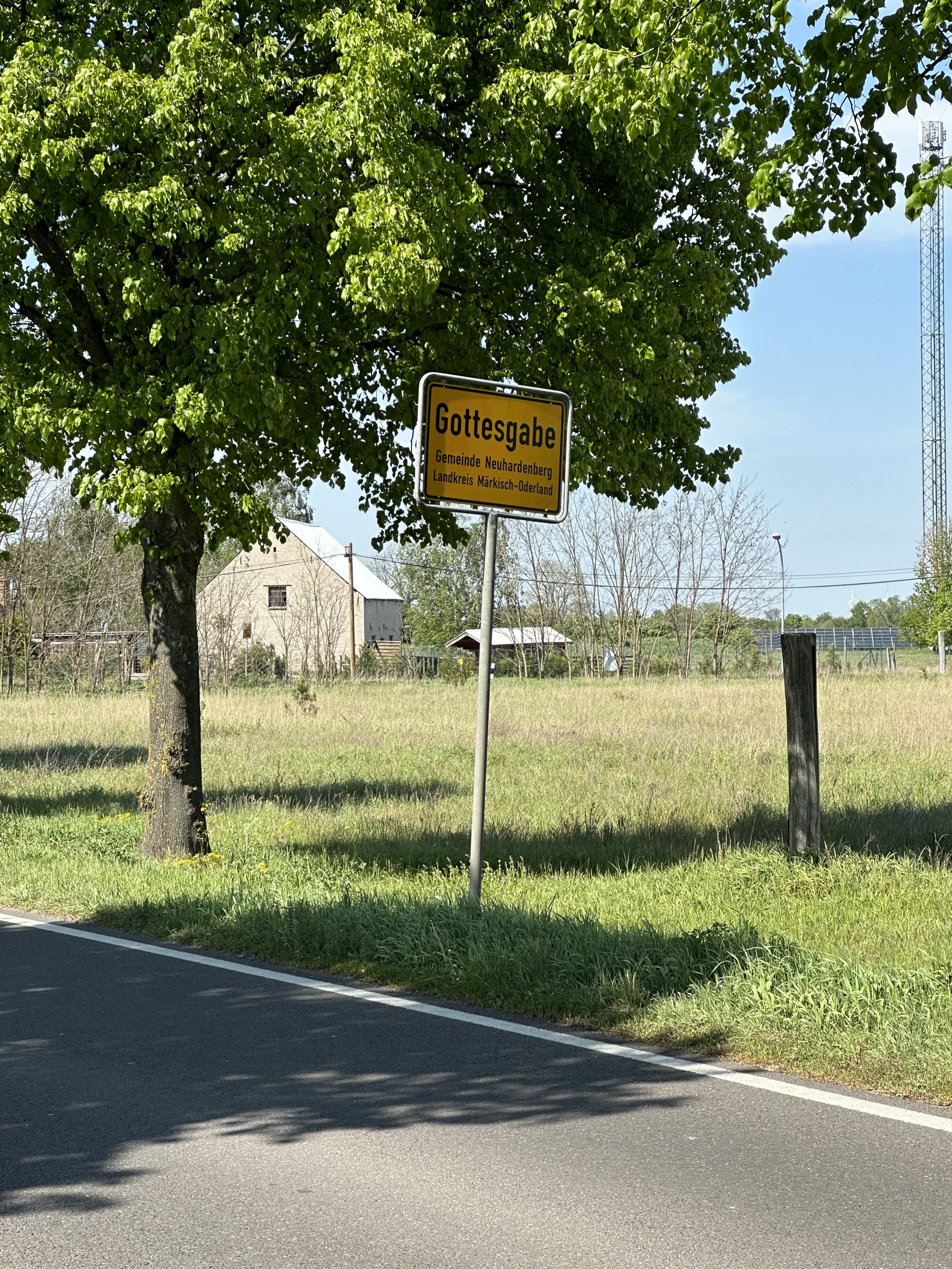 IMG_6005.jpeg