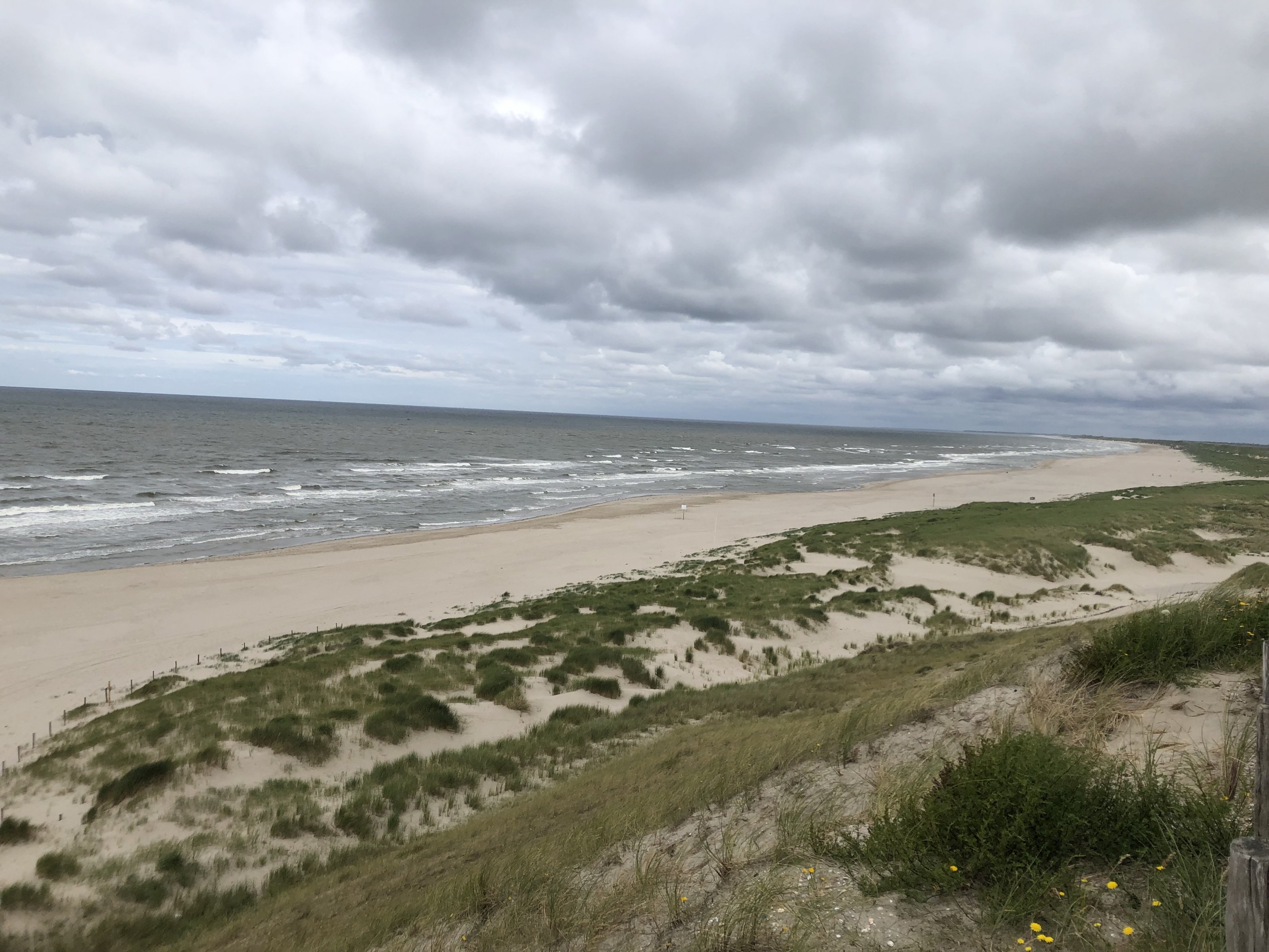 IMG_6069.jpeg