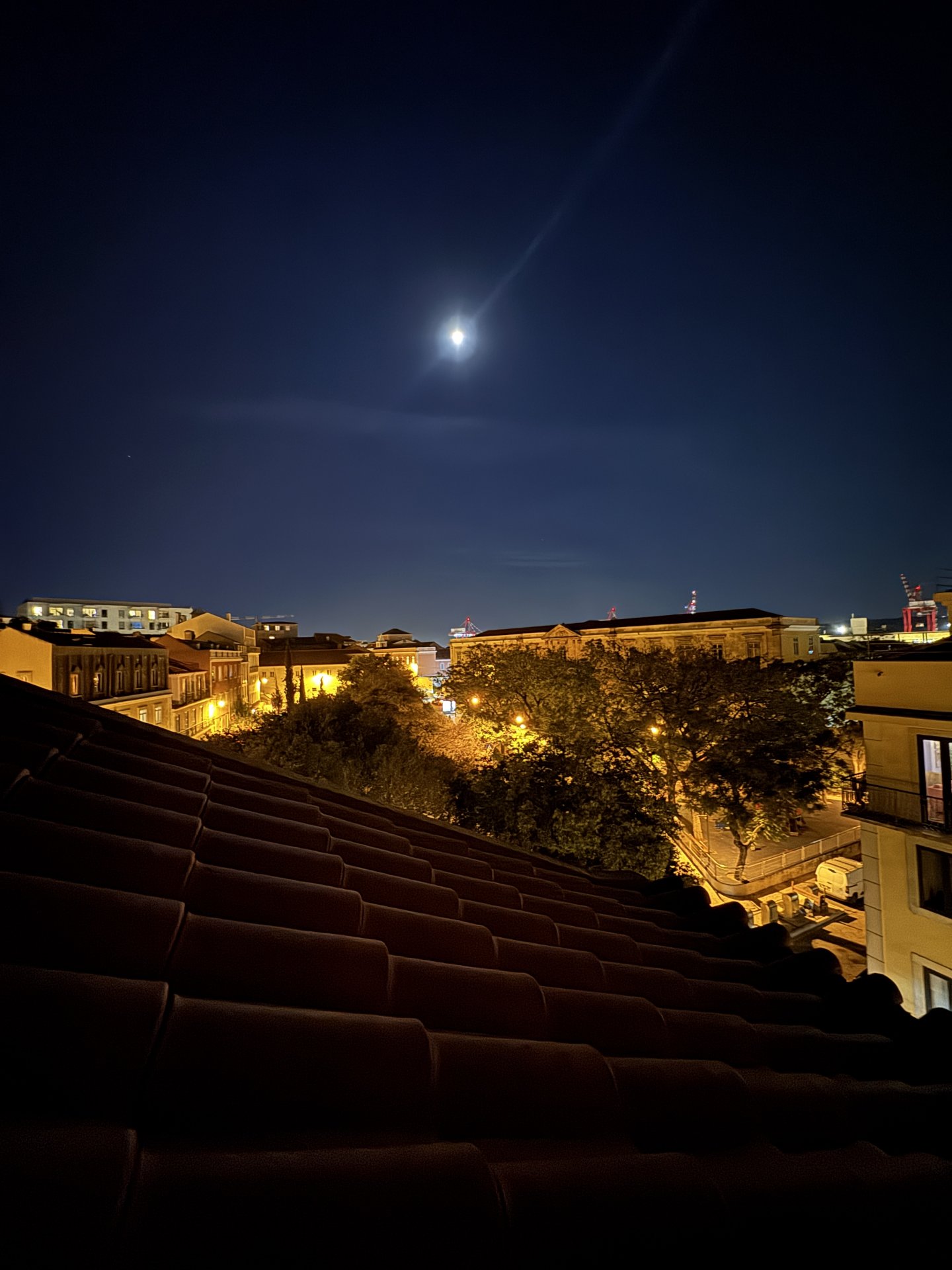 IMG_6091.jpeg