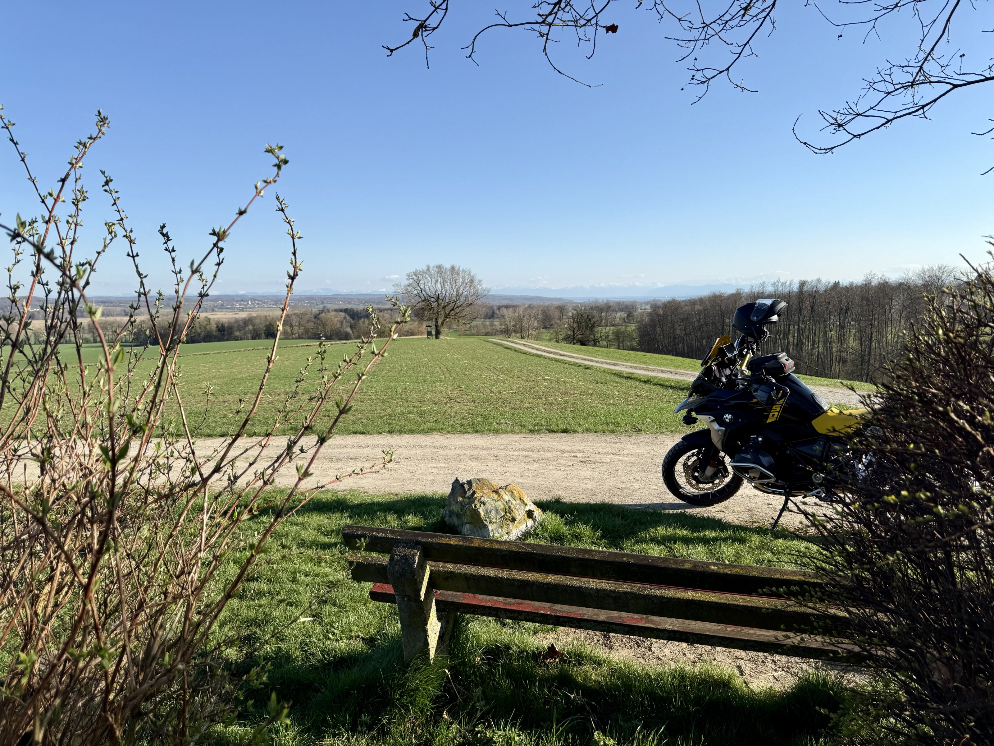 IMG_6145.jpeg