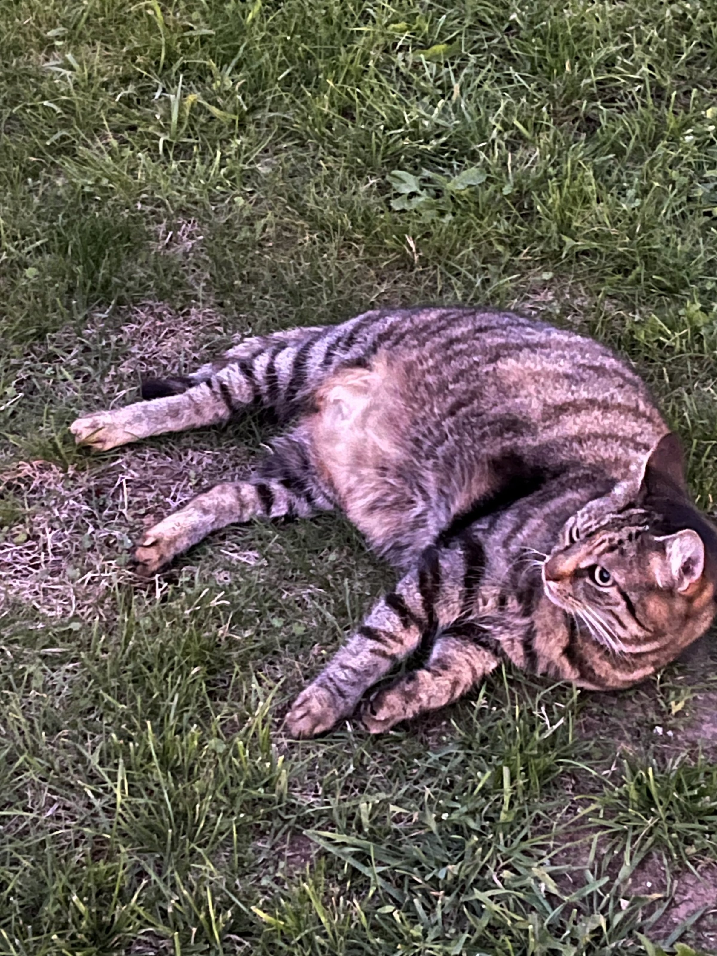 IMG_6150.jpeg