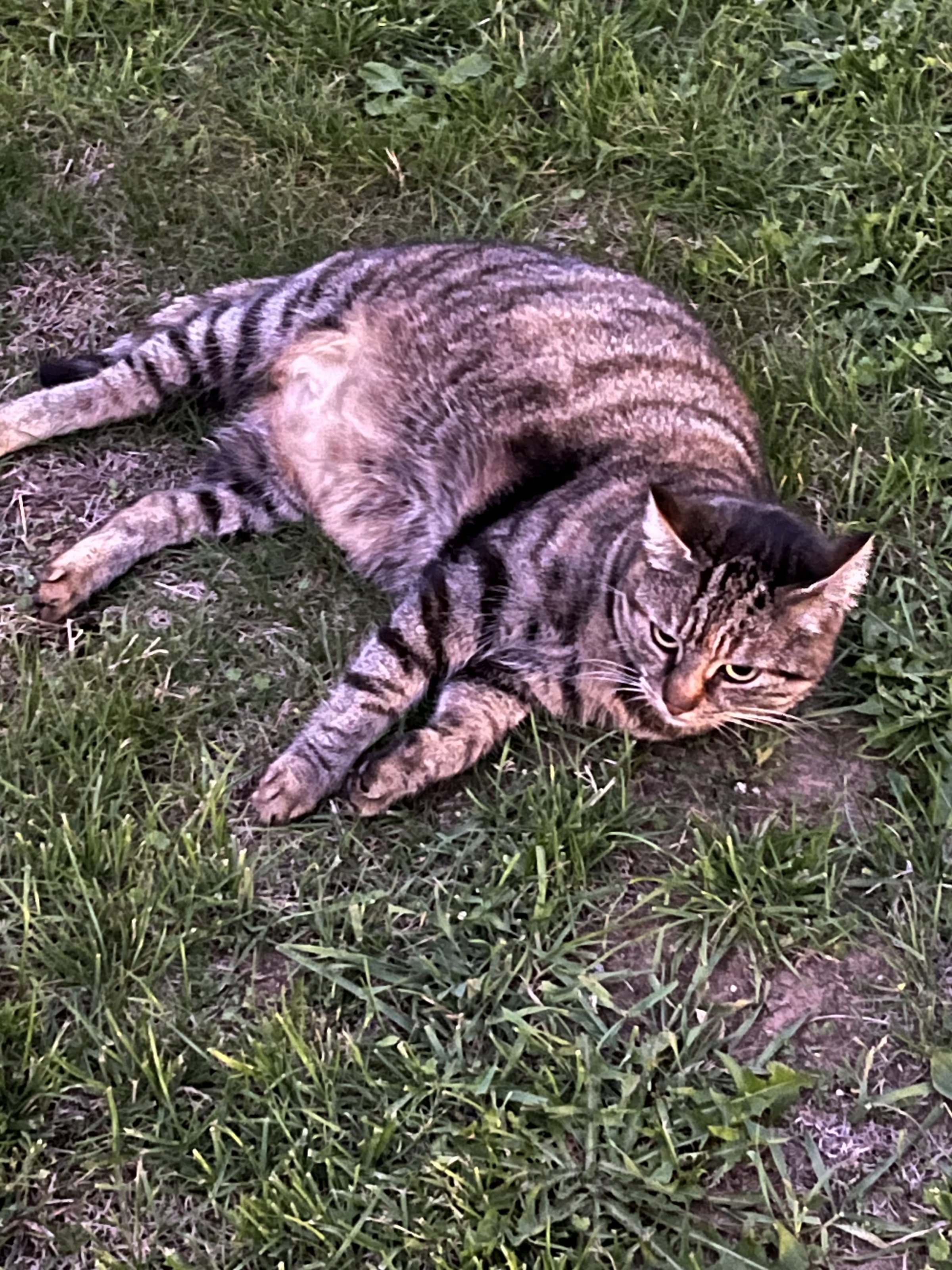 IMG_6151.jpeg