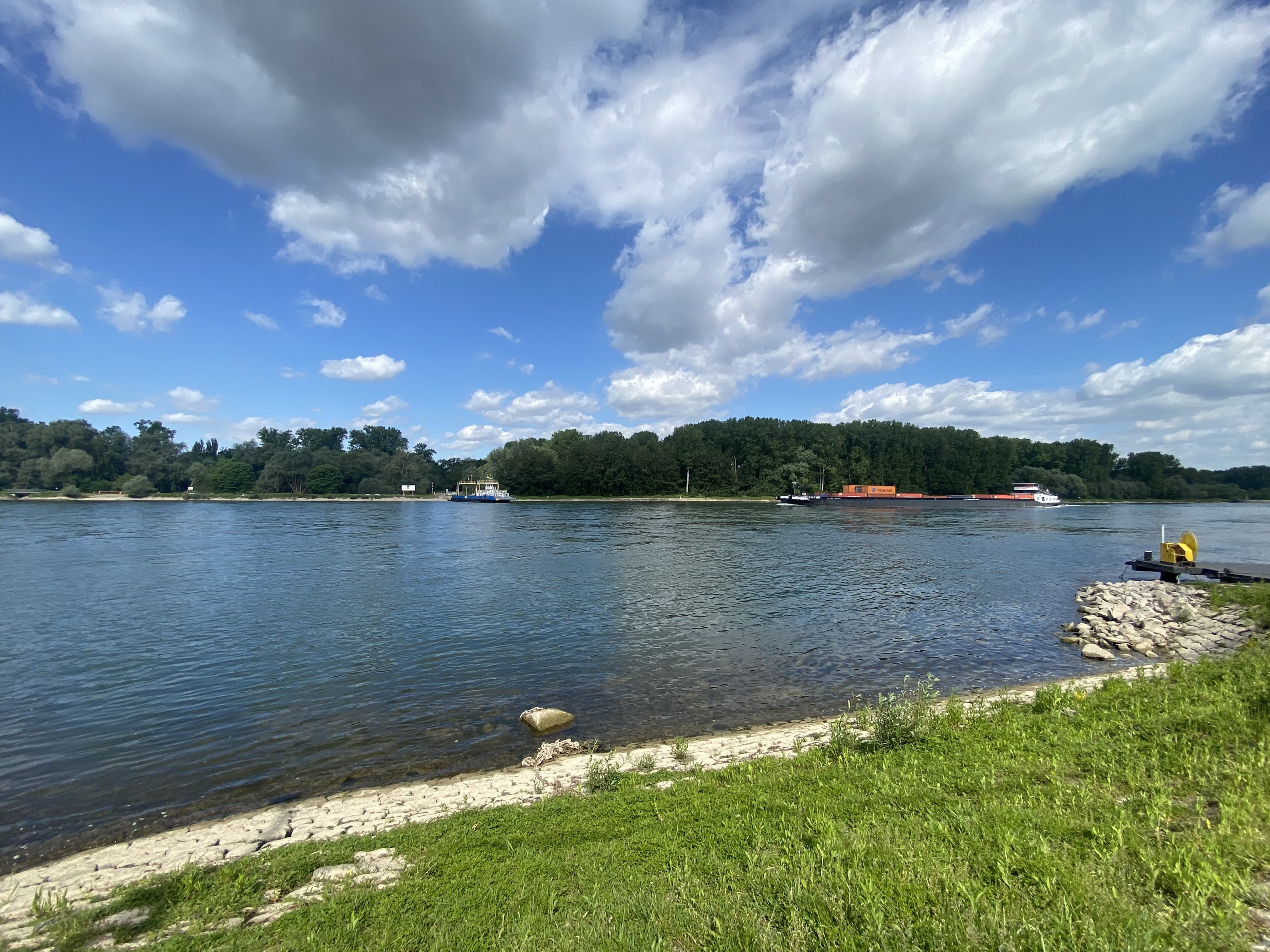 IMG_6187.JPG