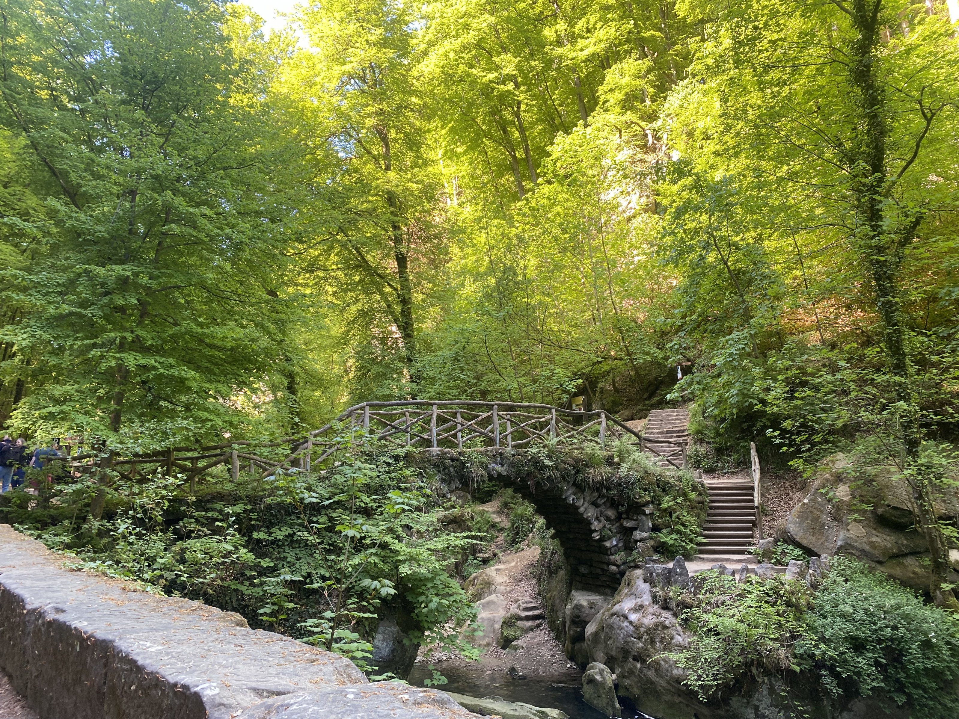 IMG_6209.JPG