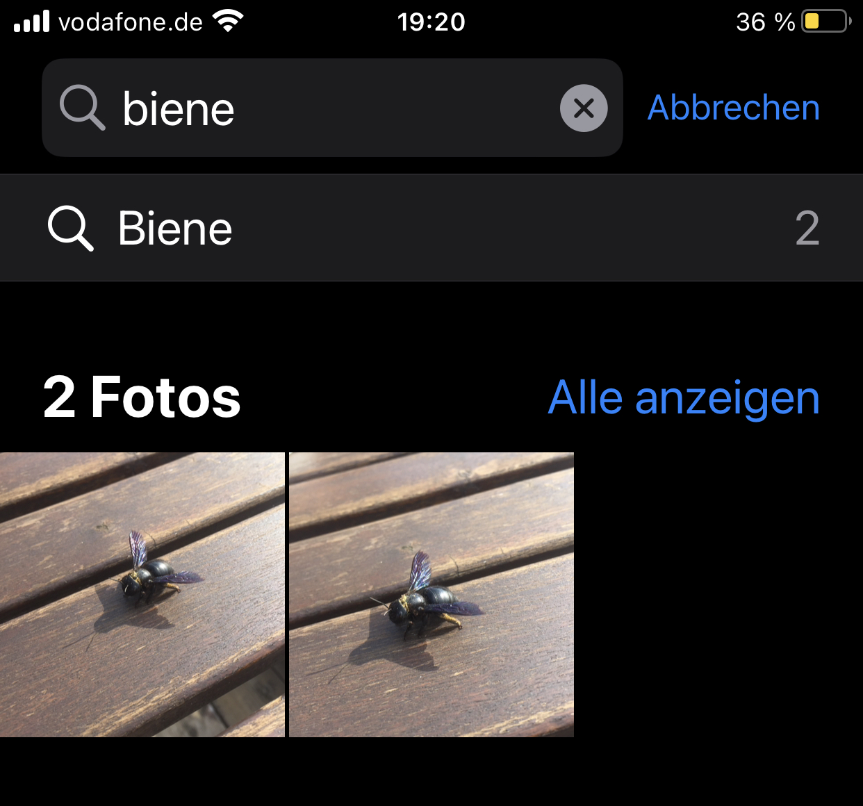 IMG_6379.jpeg