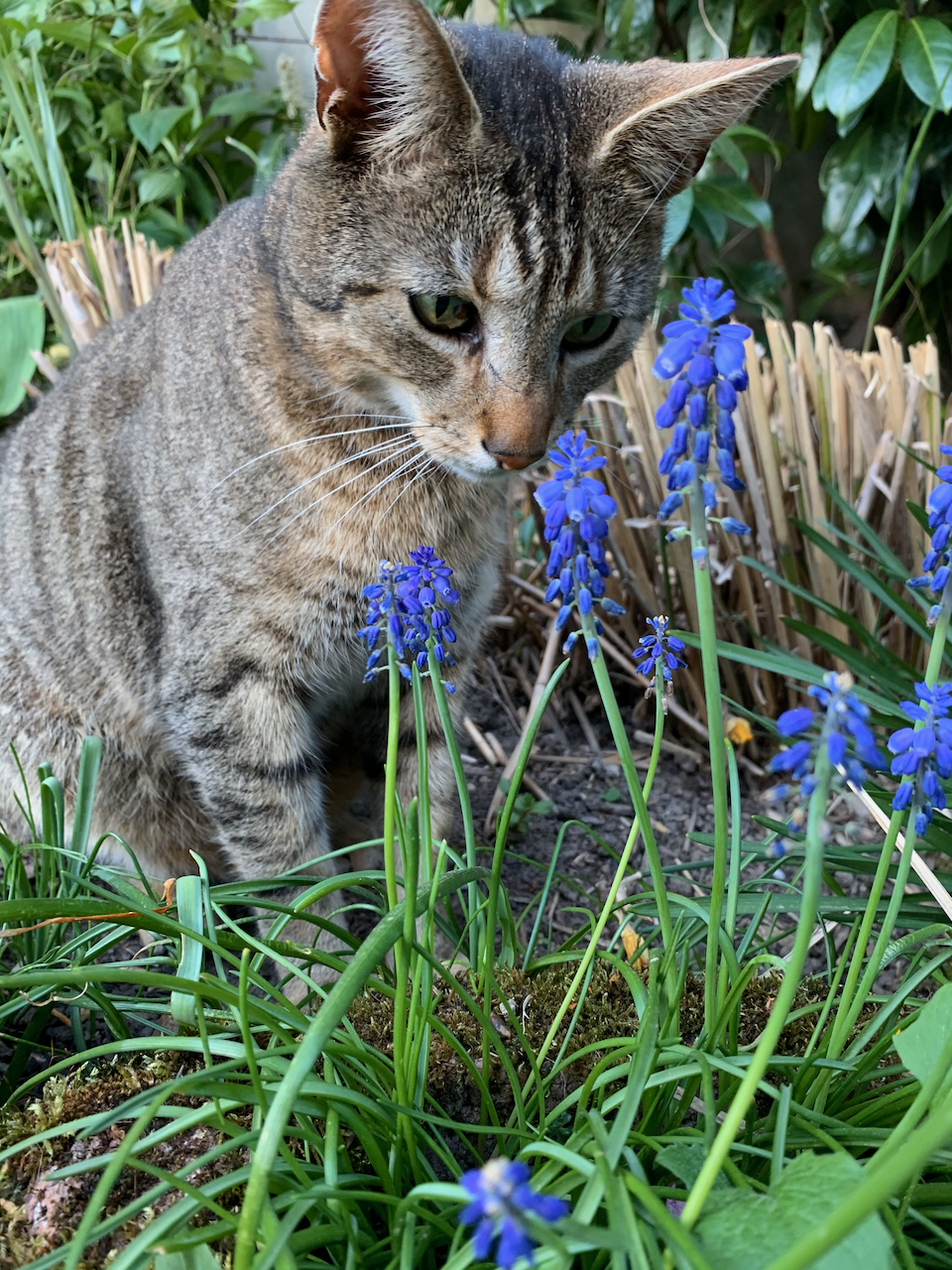 IMG_6580.jpeg
