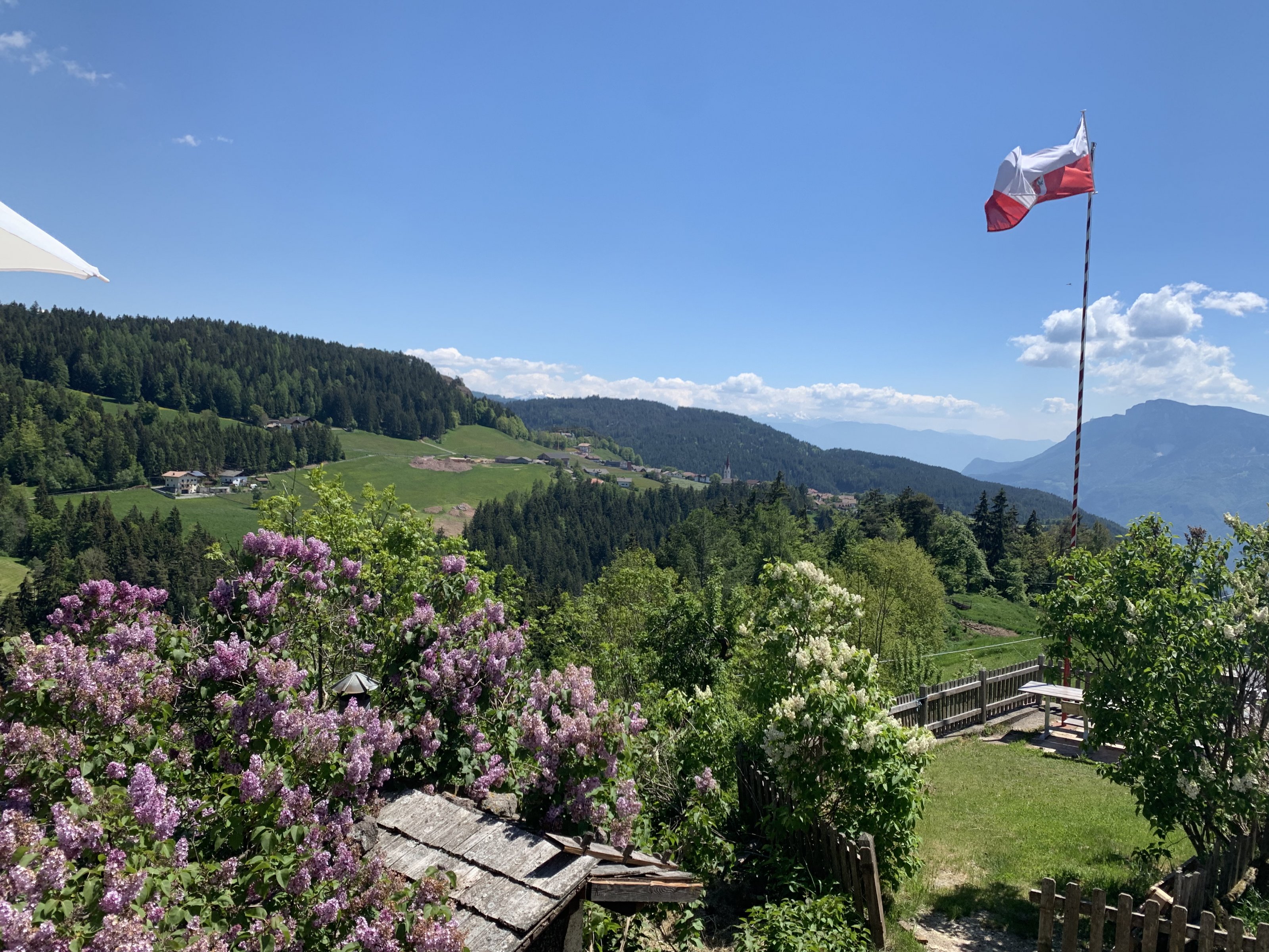 IMG_6942.jpeg