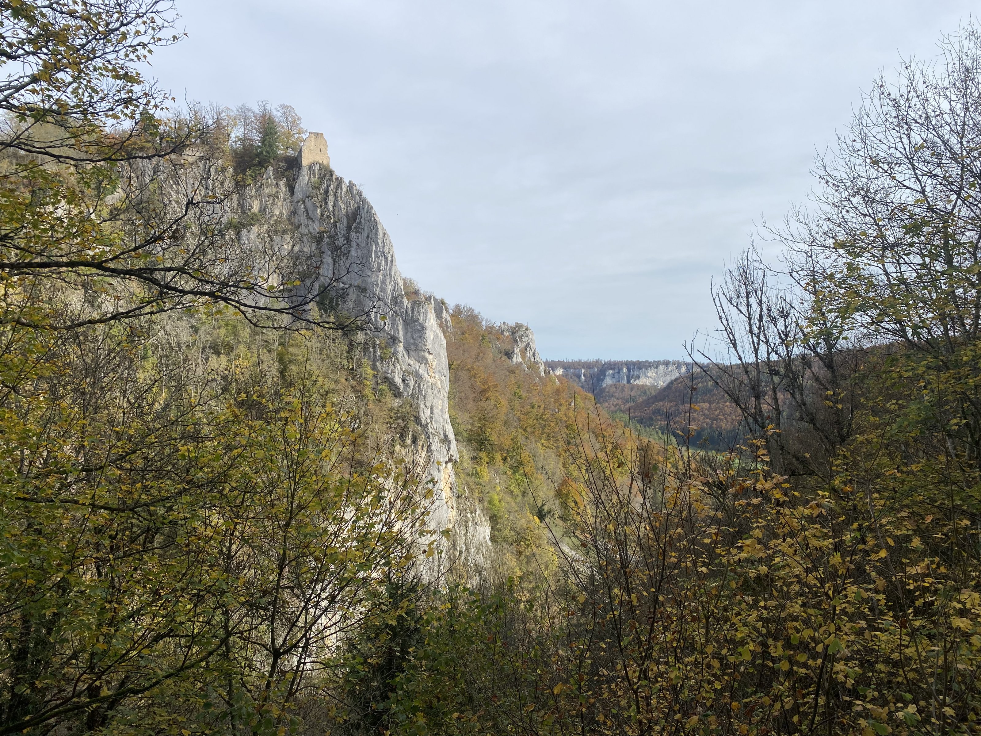 IMG_7031.jpg