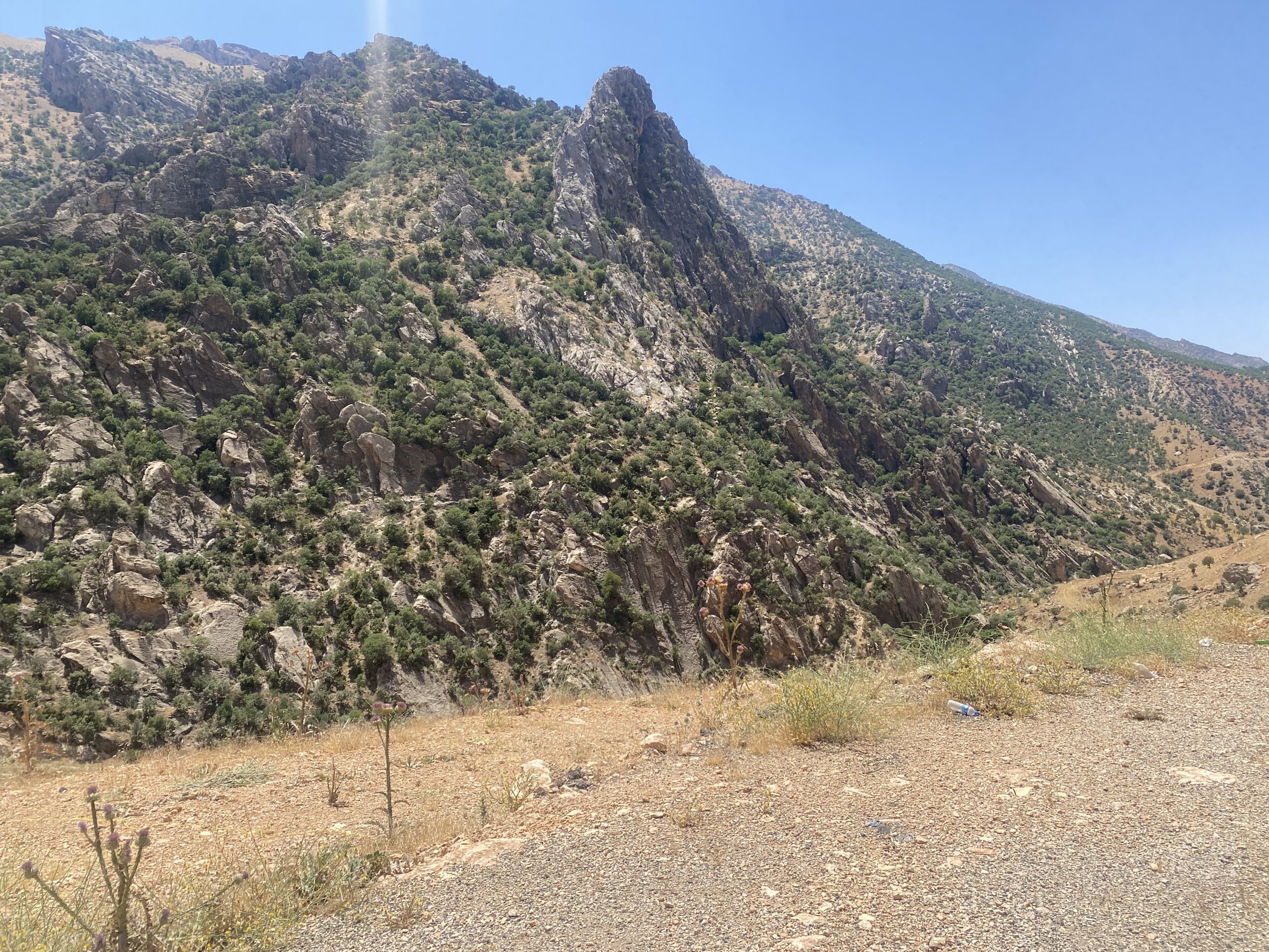 IMG_7048.jpeg