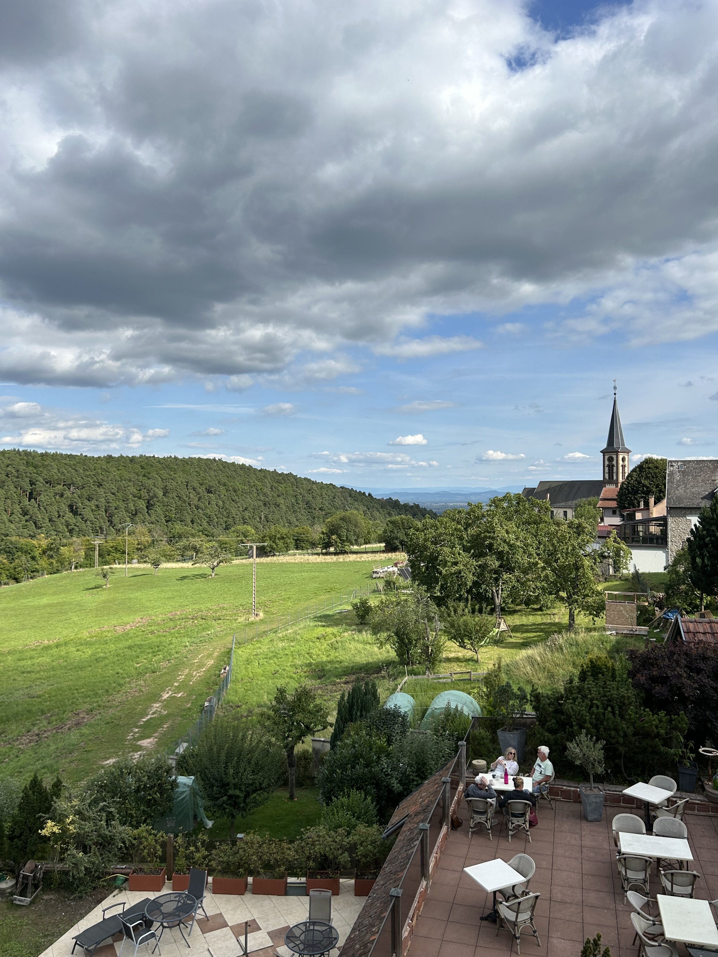 IMG_7172.jpeg