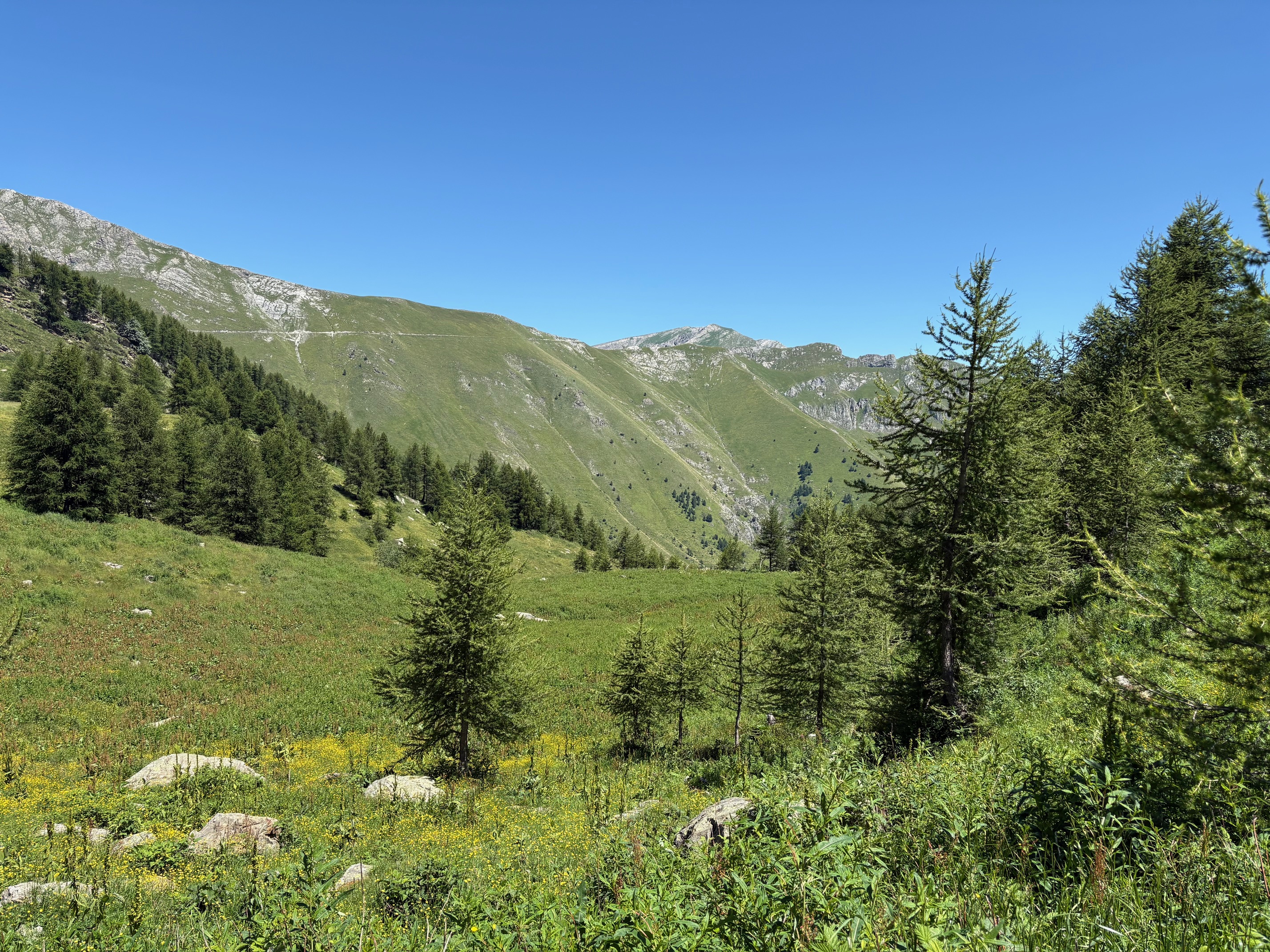 IMG_7367.jpg