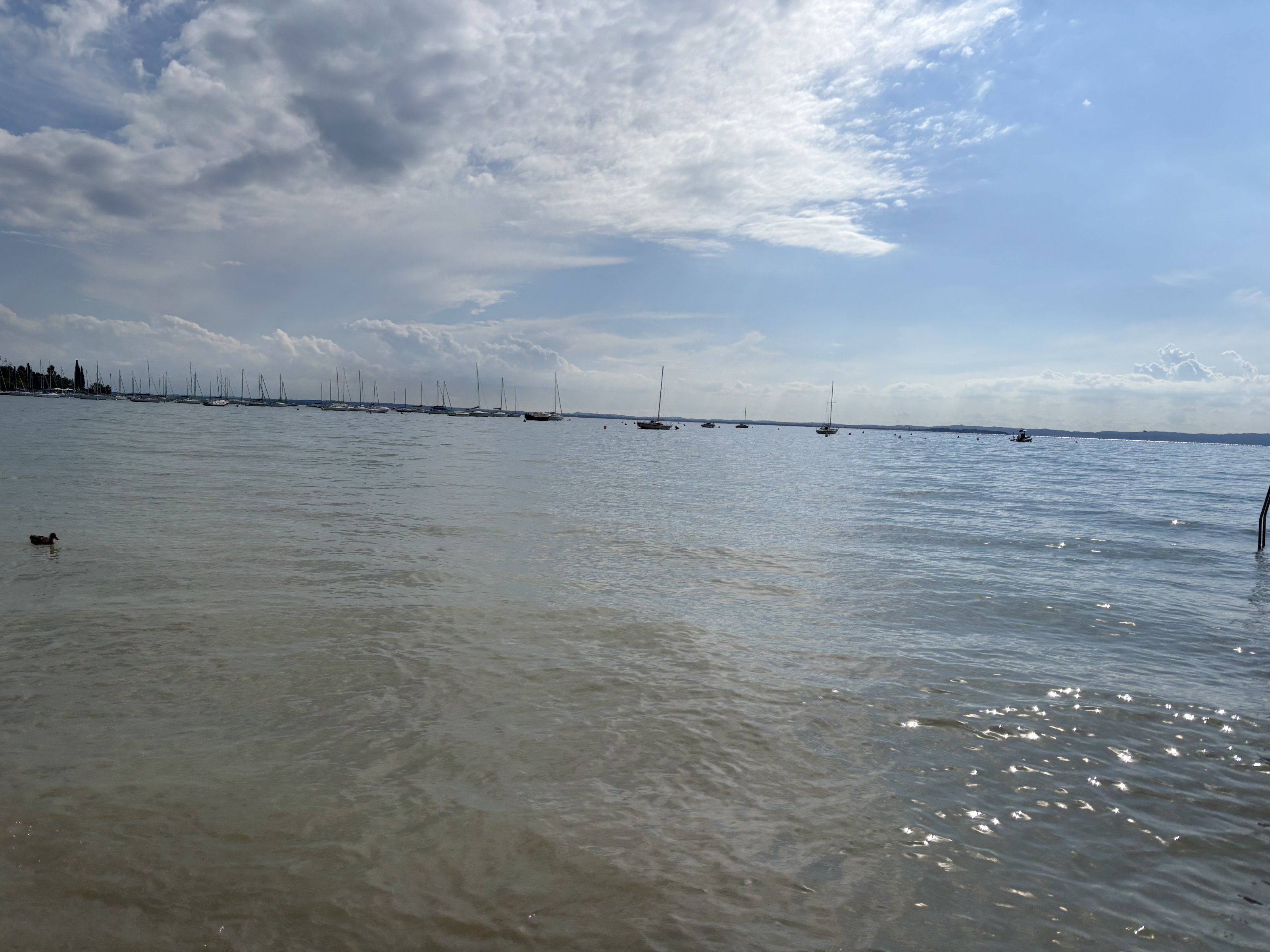 IMG_7489.jpeg