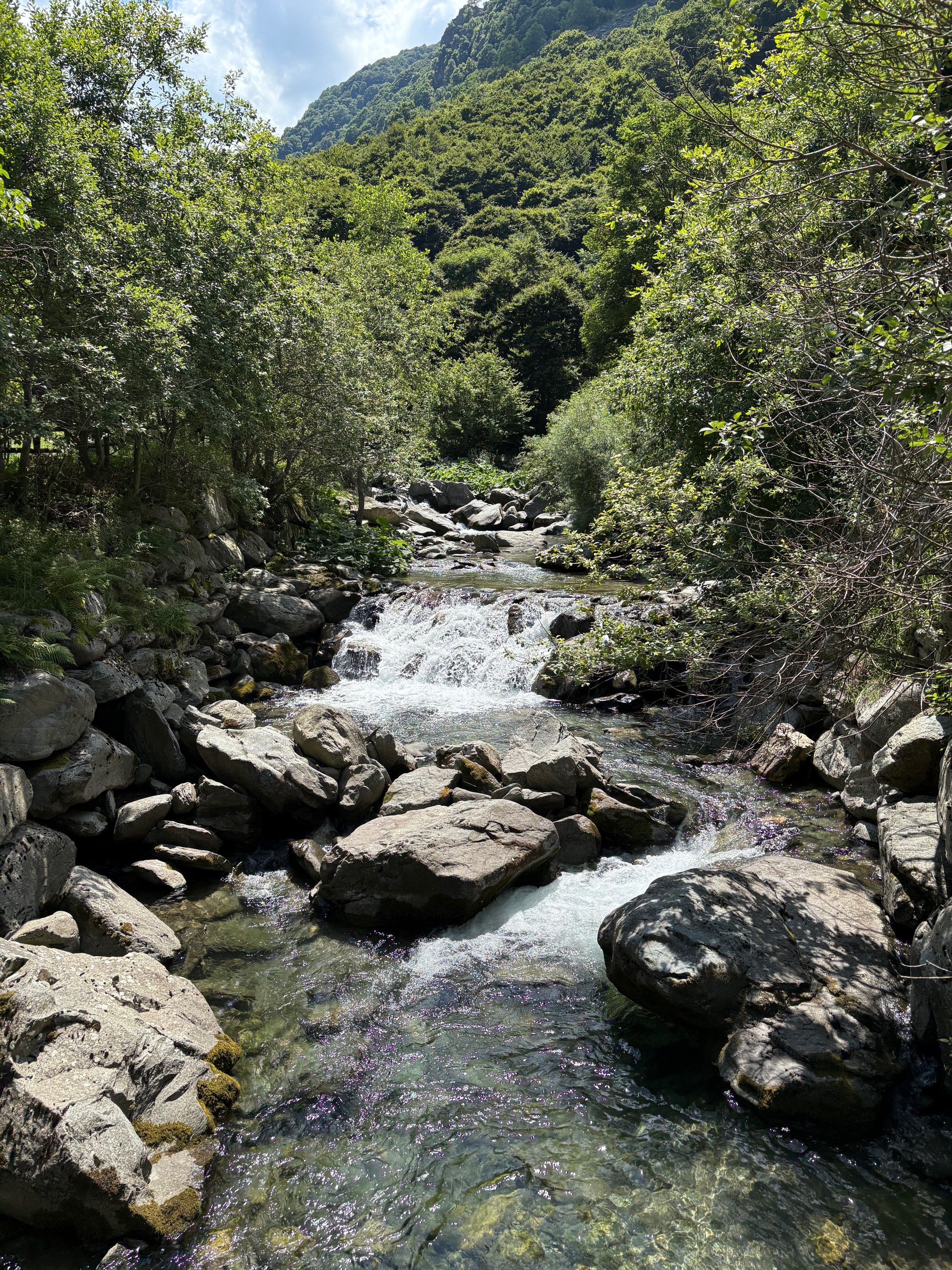 IMG_7553.jpg