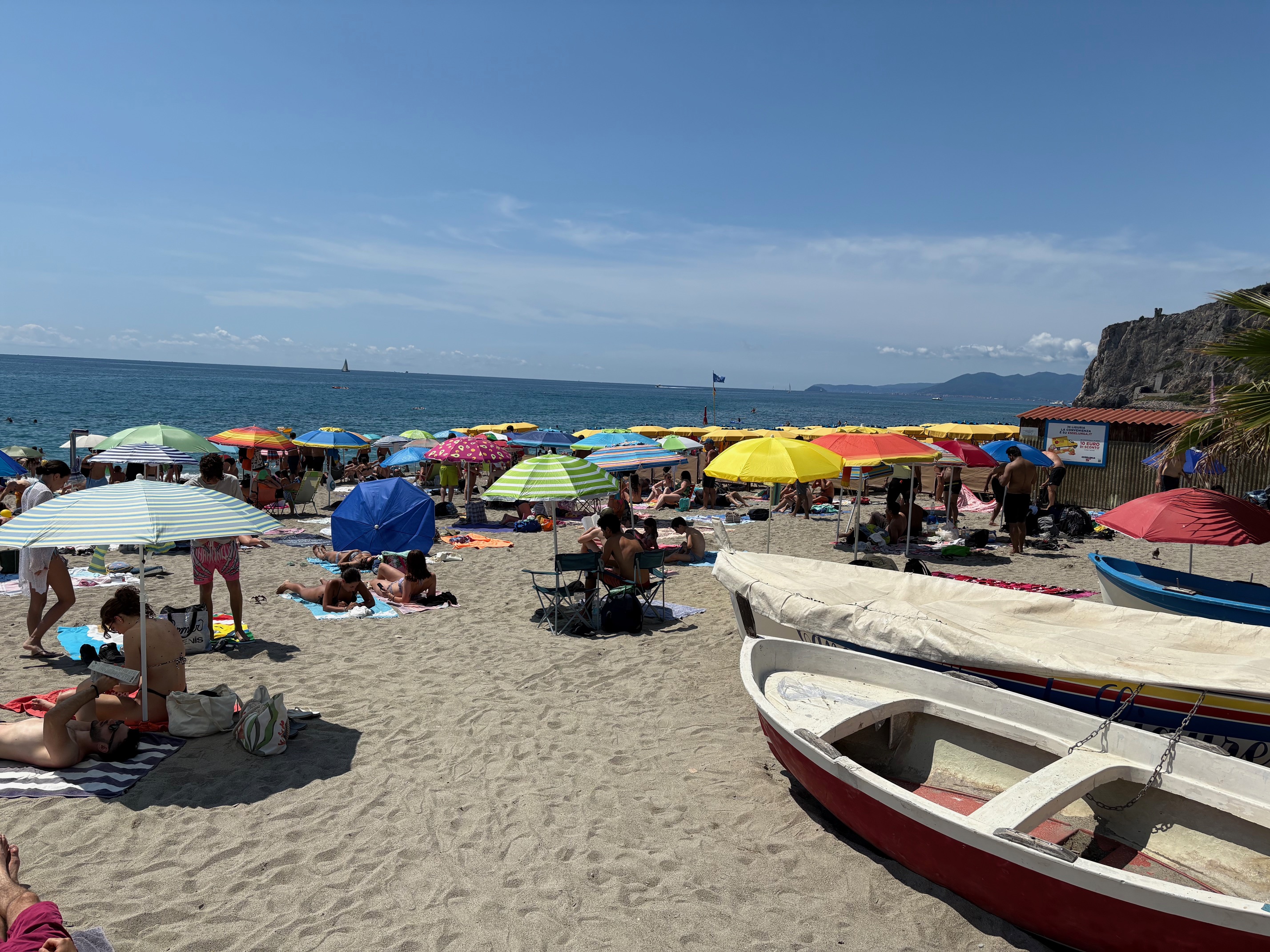IMG_7599.jpg