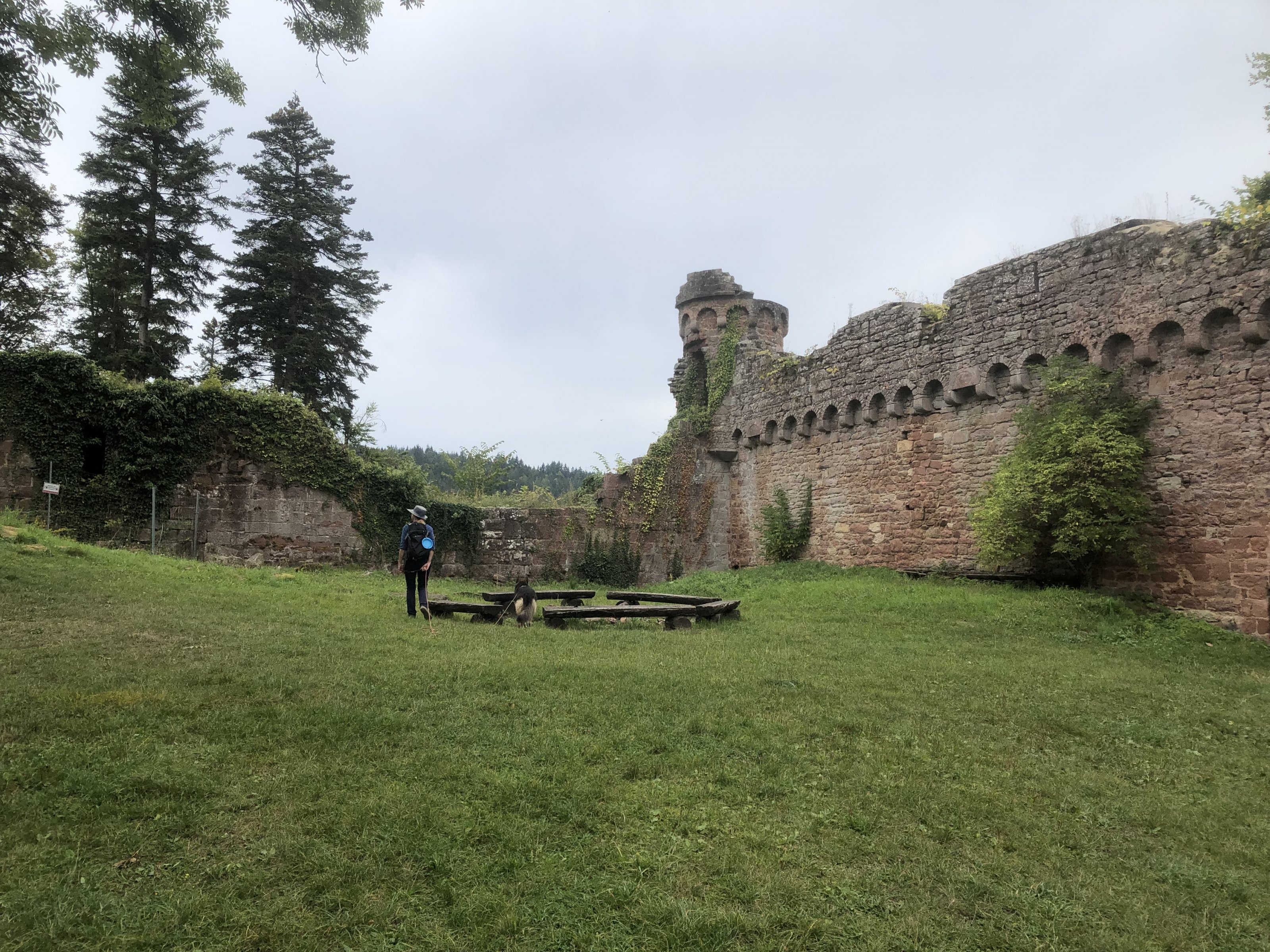 IMG_8013.jpeg