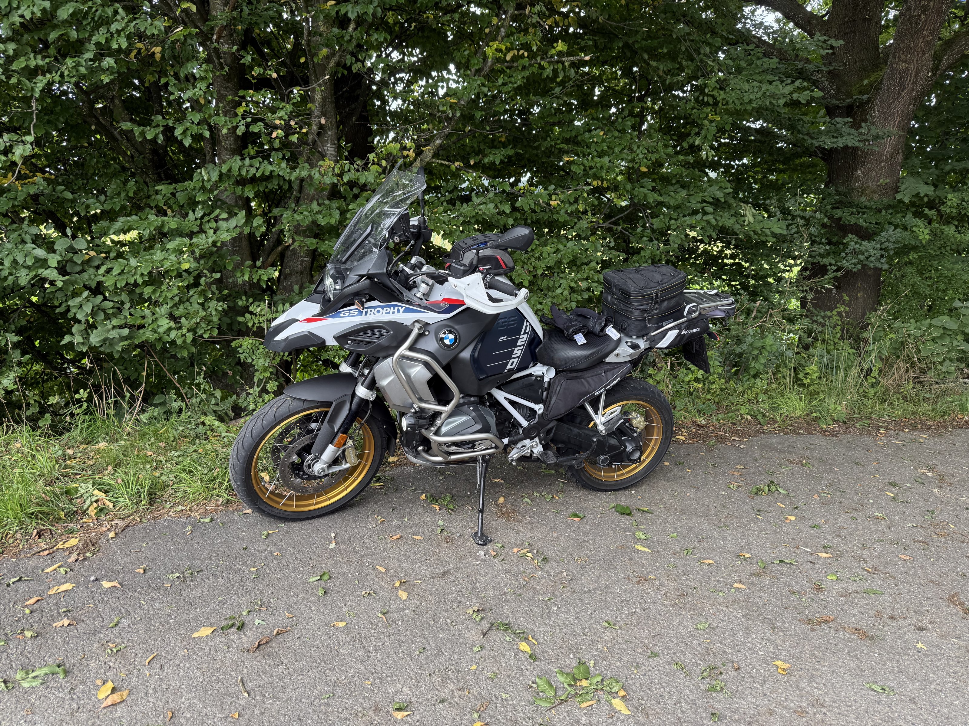 IMG_8118.jpeg
