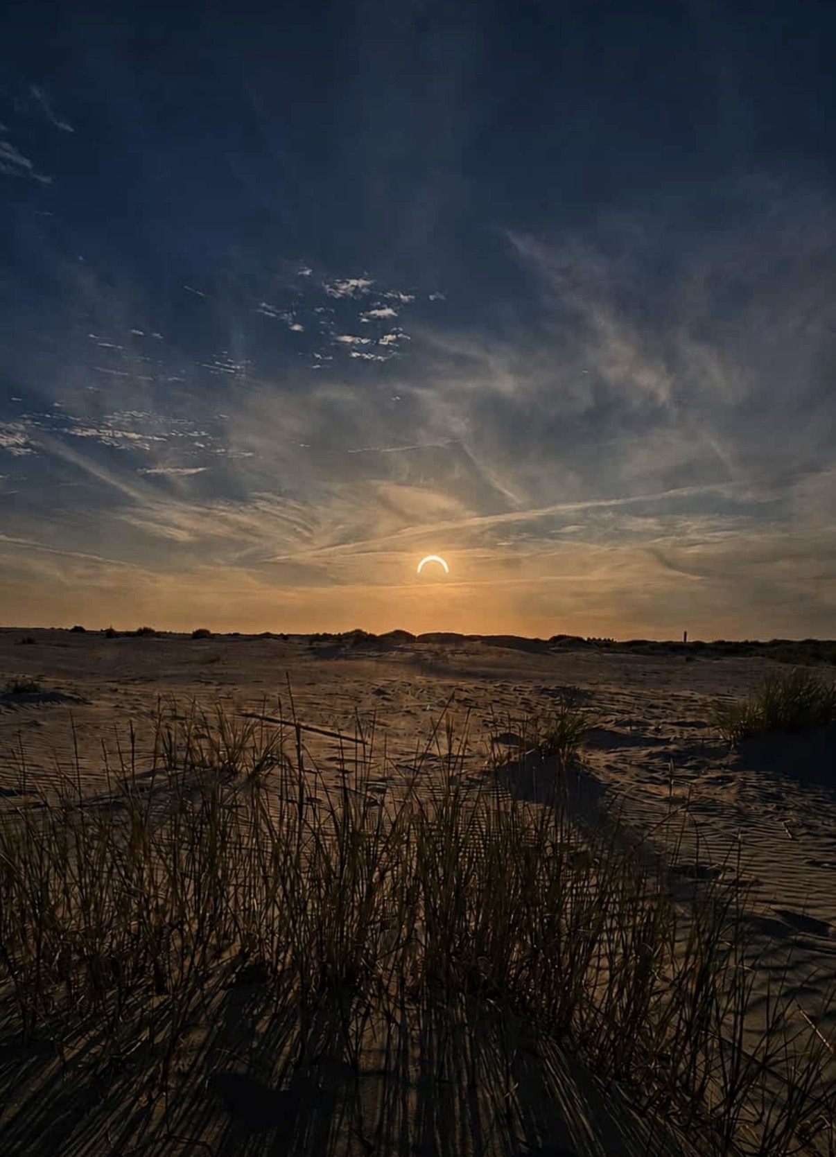 IMG_8310.jpeg