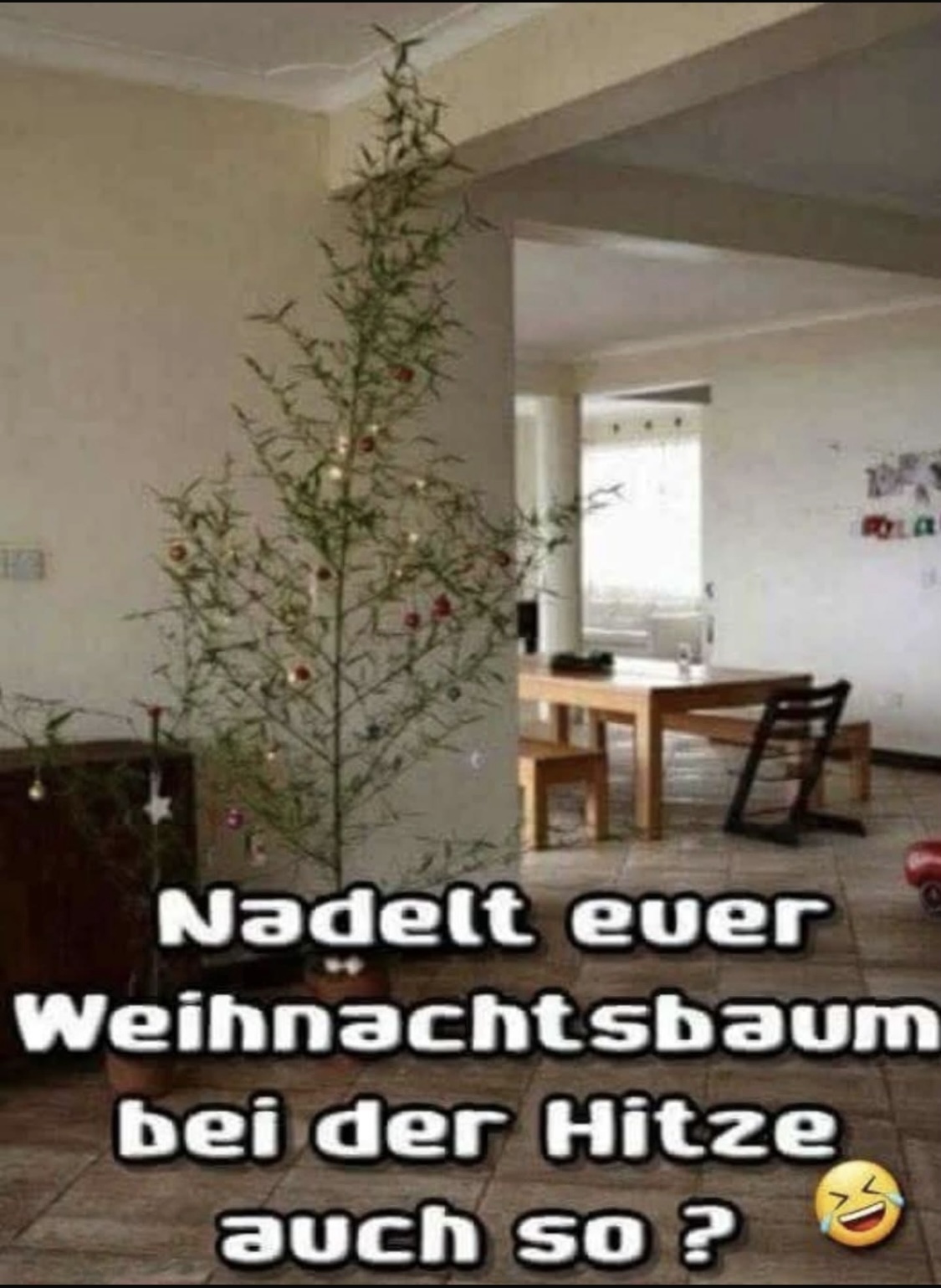 IMG_8672.jpeg