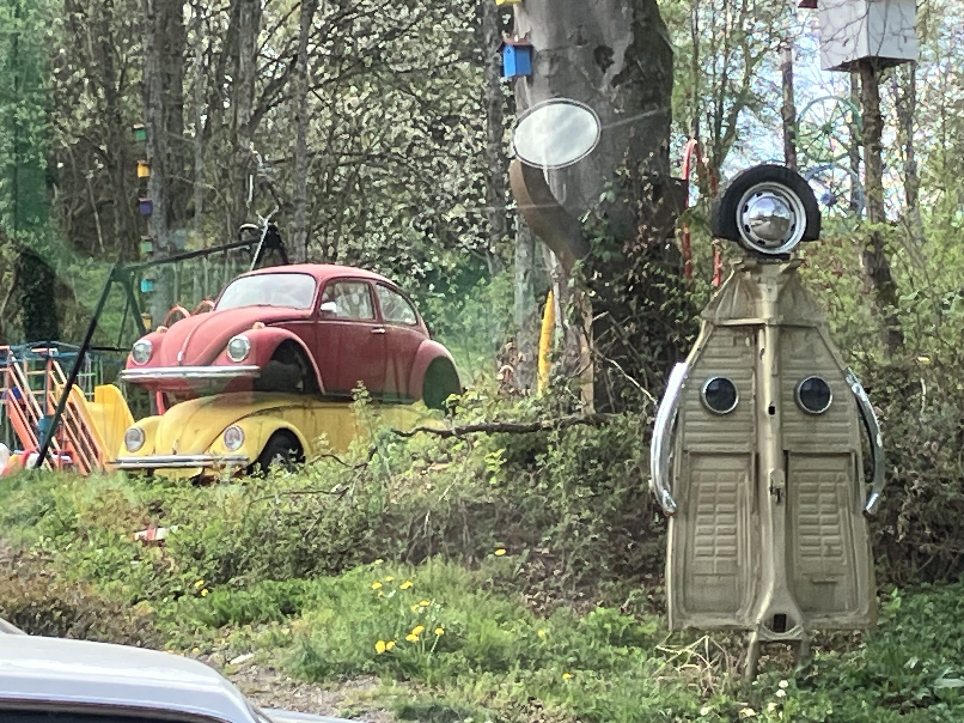 IMG_8766.jpeg