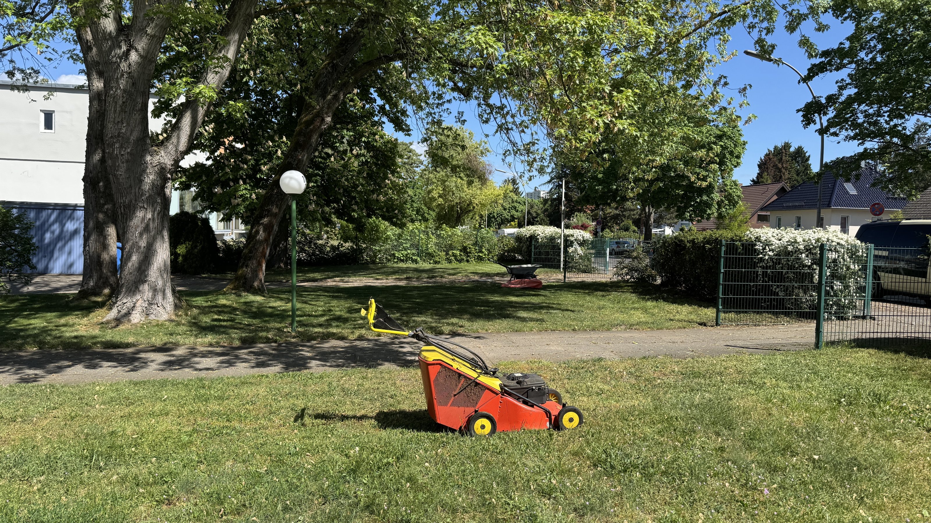 IMG_8914.jpeg