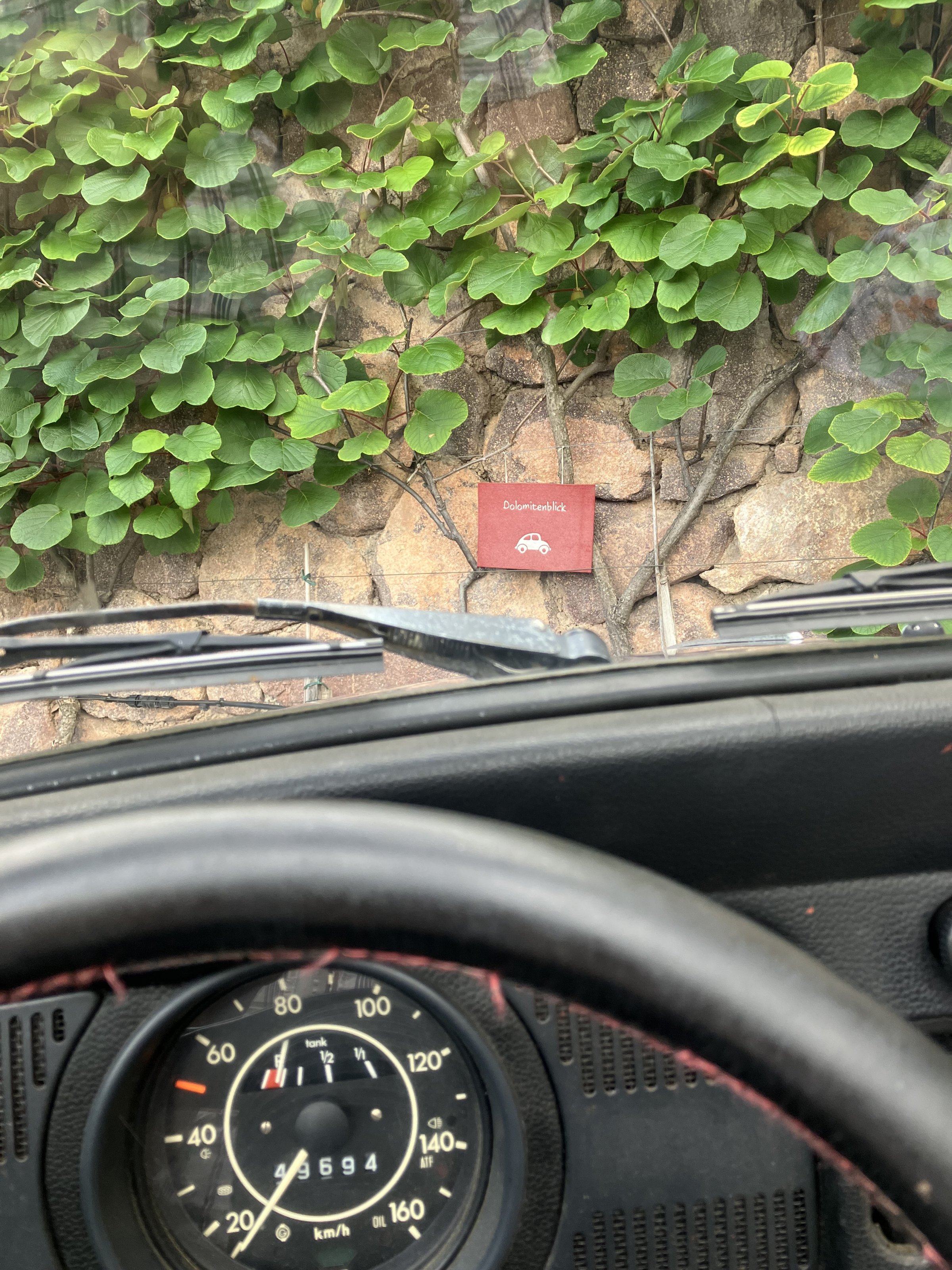 IMG_9916.jpeg