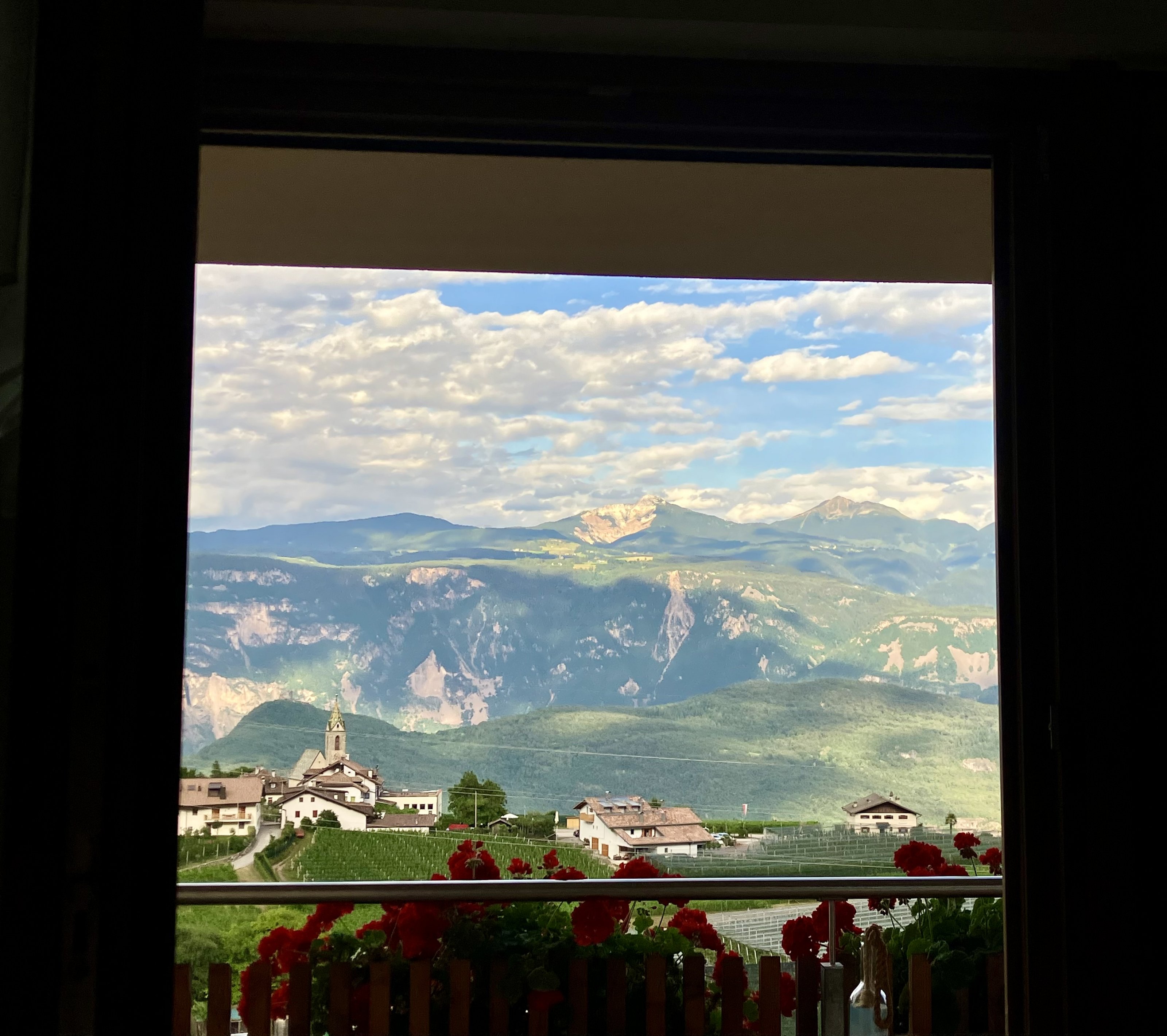 IMG_9917.jpeg