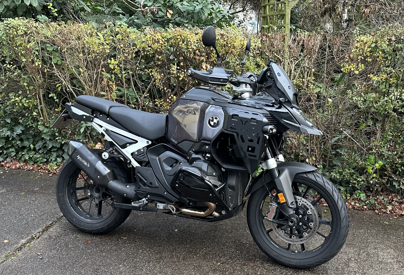 IMG_E6441.png   gsa short.png  GSA K.png 2.png 5.png