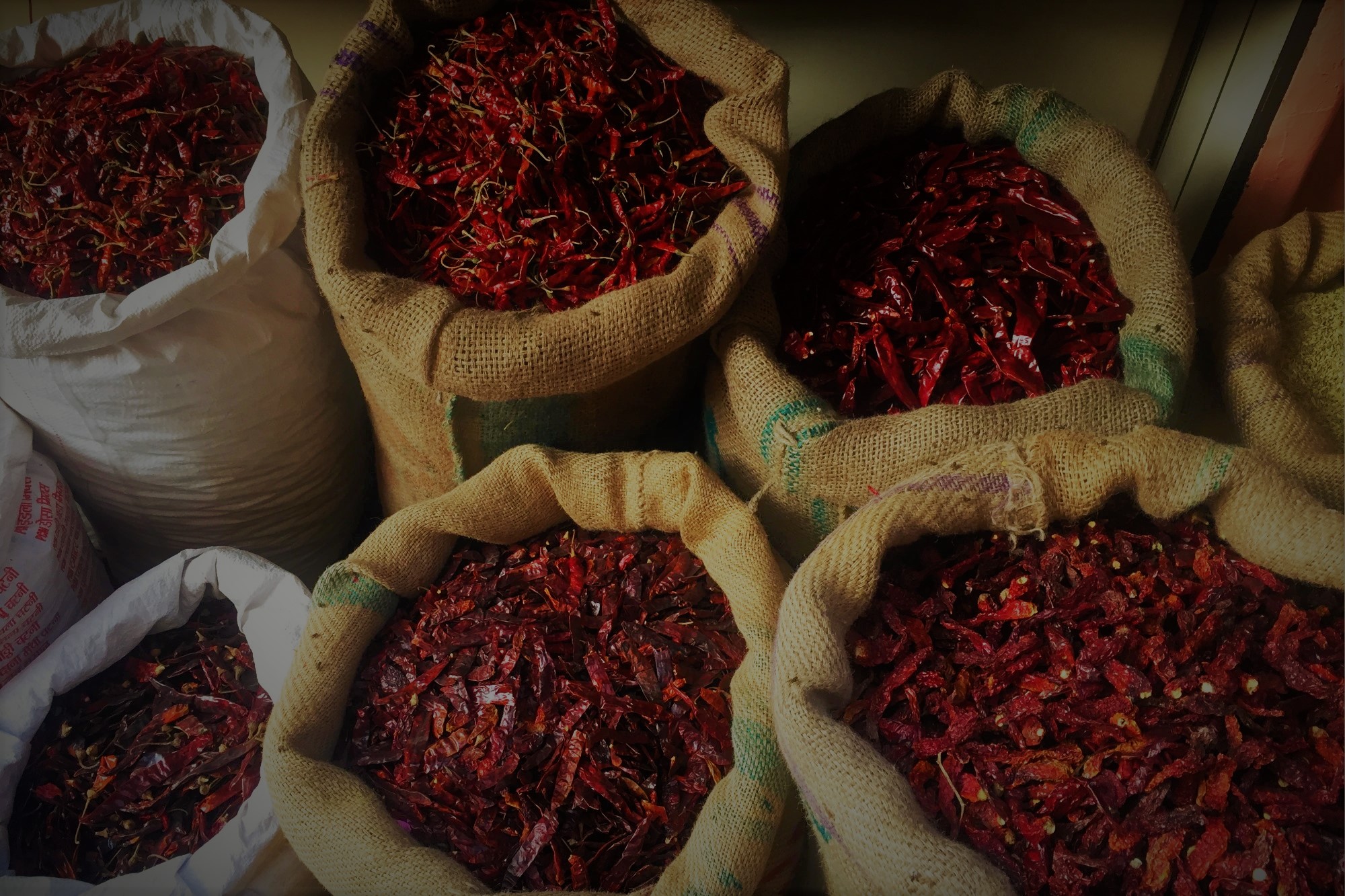 india chili.jpg
