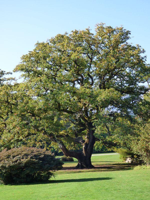 k-P1020688.JPG