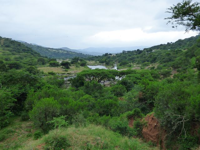 k-P1100905.JPG