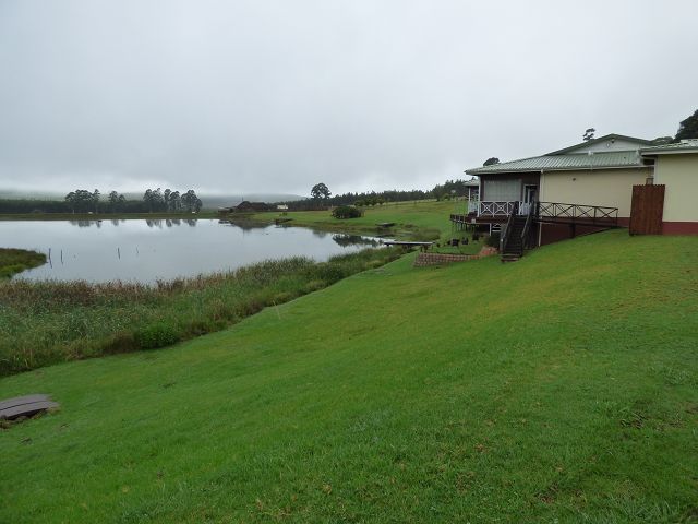 k-P1100968.JPG