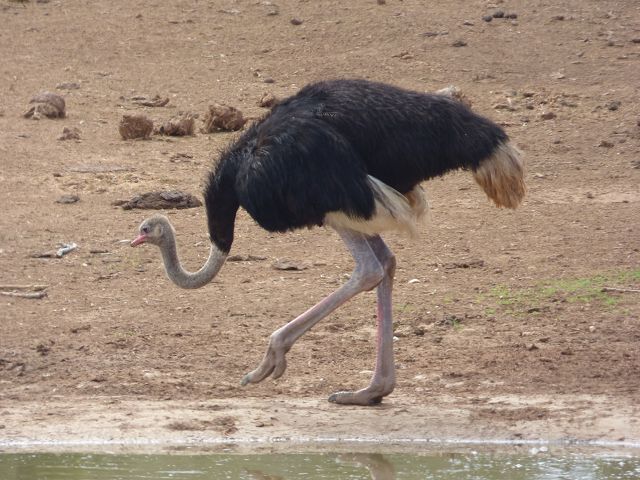 k-P1110229.JPG