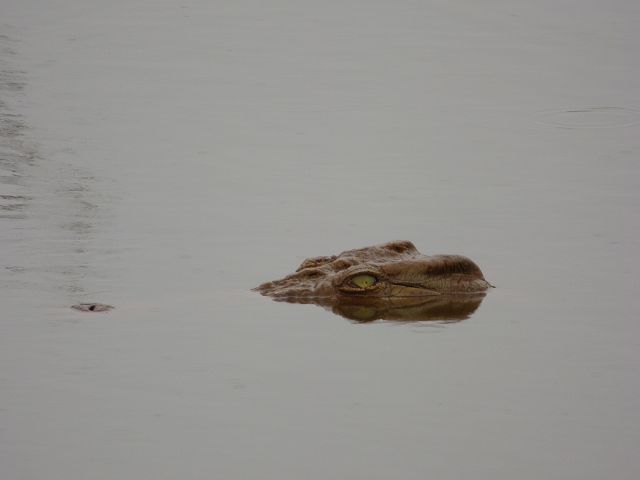 k-P1110556.JPG