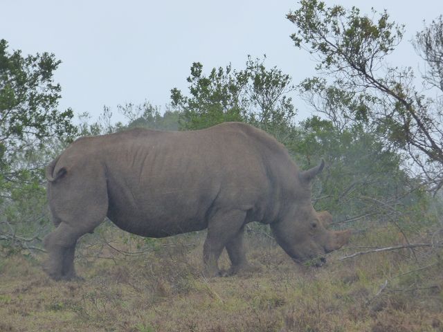 k-P1110584.JPG