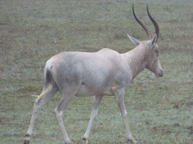 k-P1110636.JPG