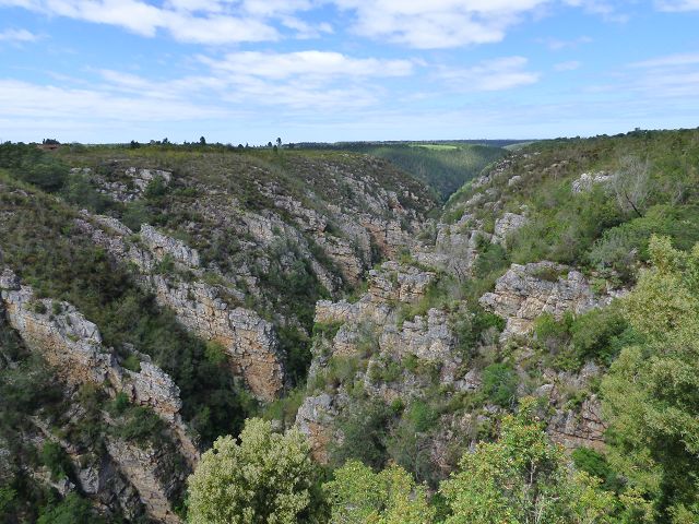 k-P1110674.JPG