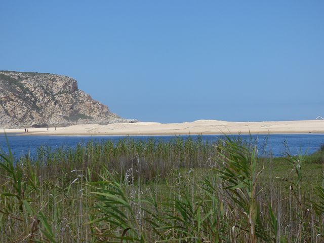 k-P1110731.JPG