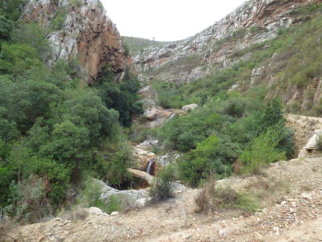 k-P1110781.JPG