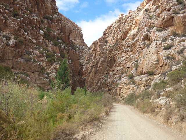 k-P1110904.JPG