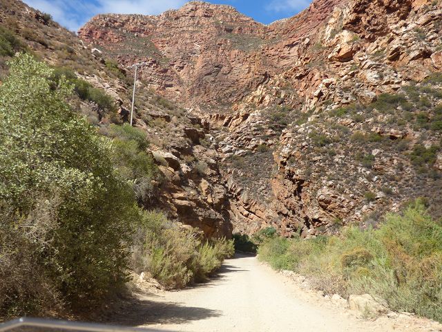 k-P1110920.JPG