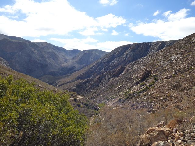 k-P1110944.JPG