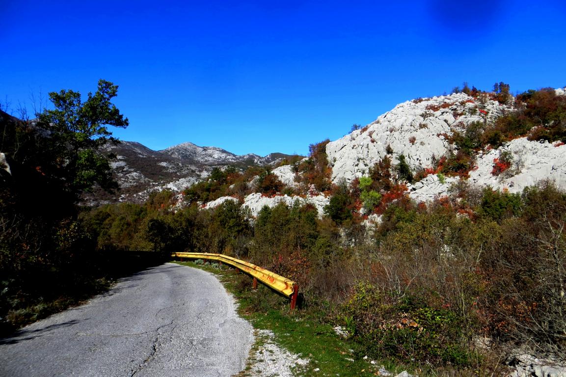 K1024_IMG_7125.JPG