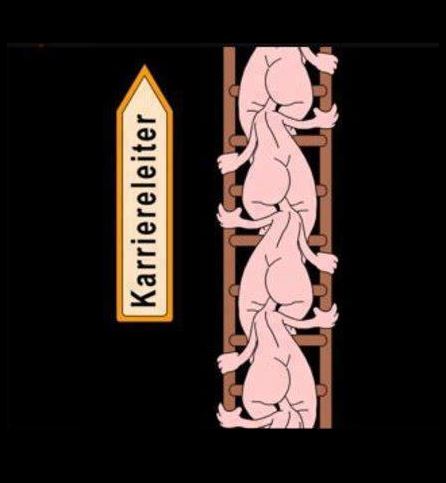 Karriereleiter.JPG
