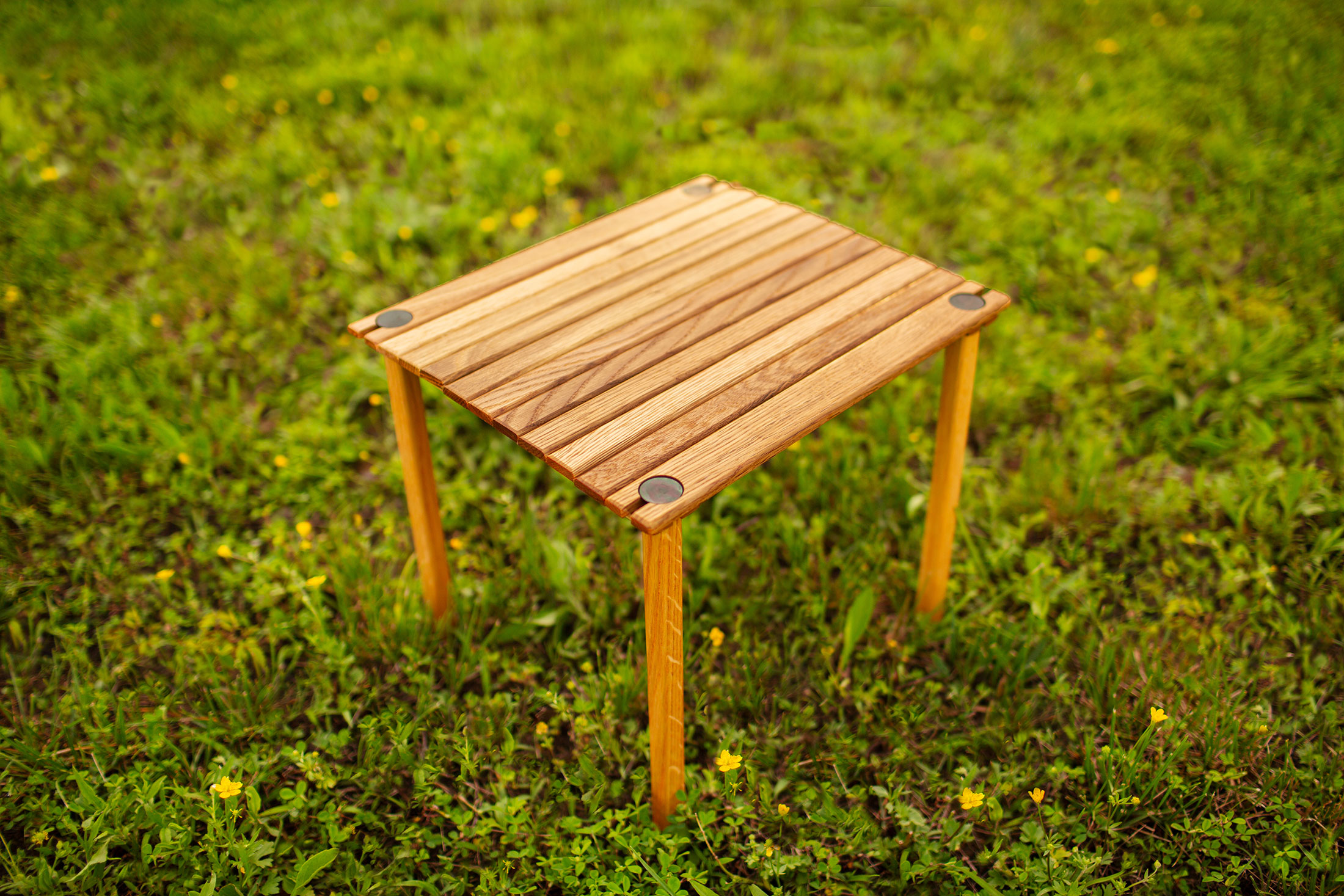kermit-table.jpg