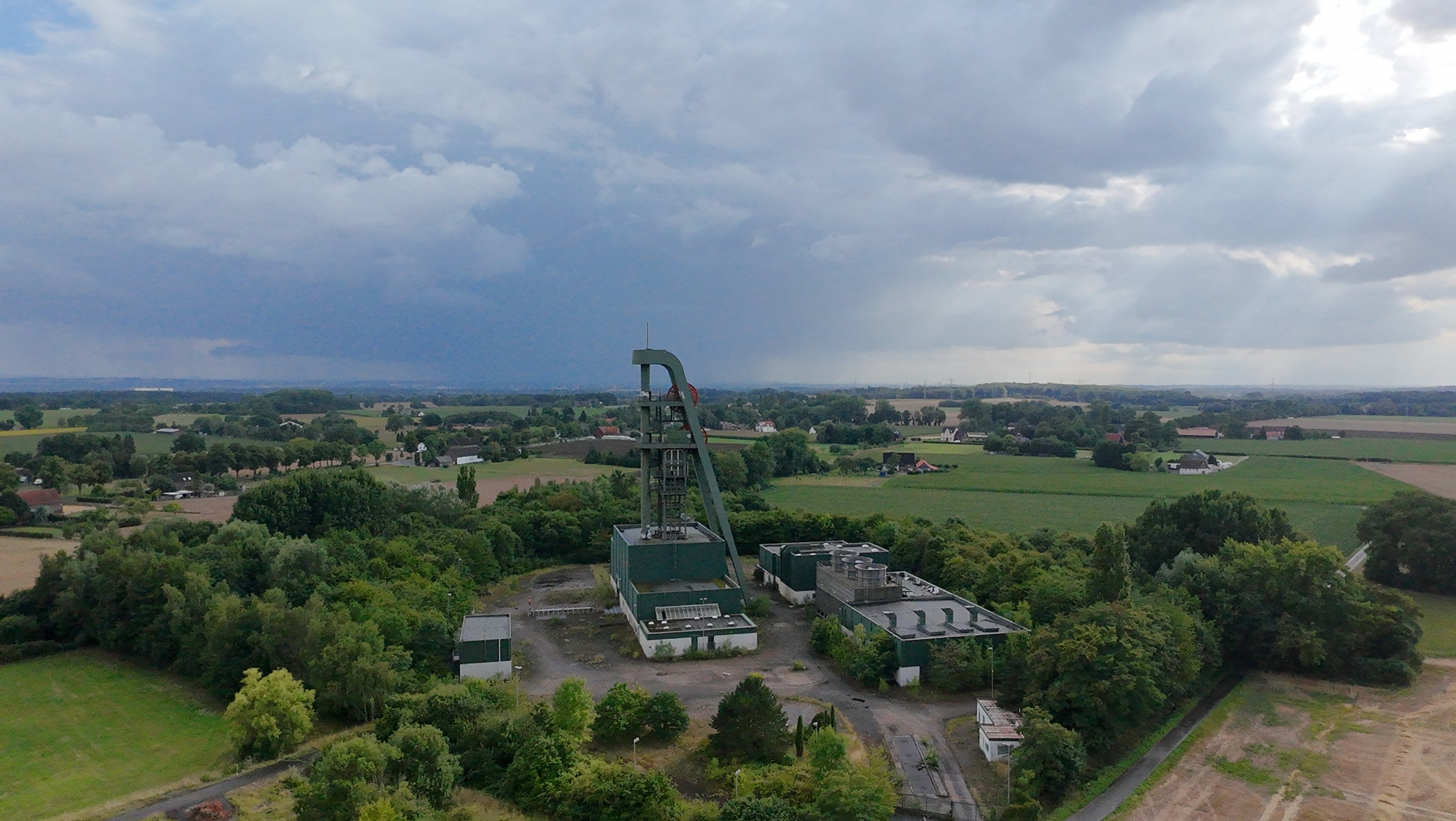 Lerche_6.jpg