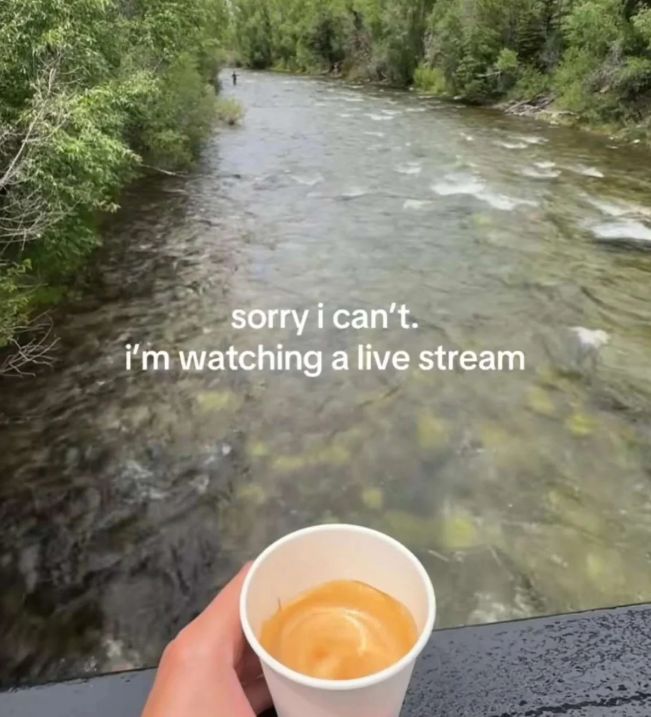 live stream.jpg